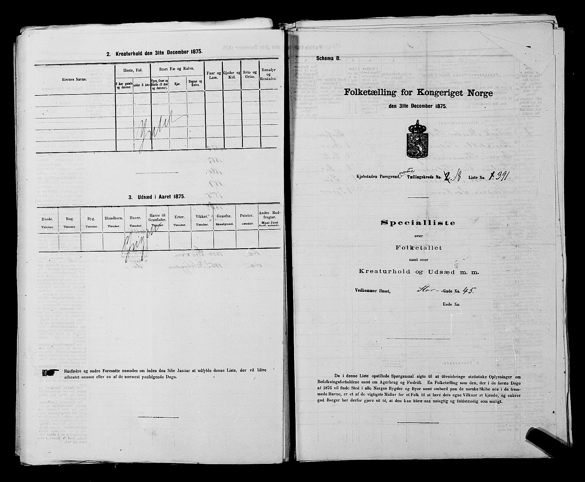 SAKO, 1875 census for 0805P Porsgrunn, 1875, p. 881