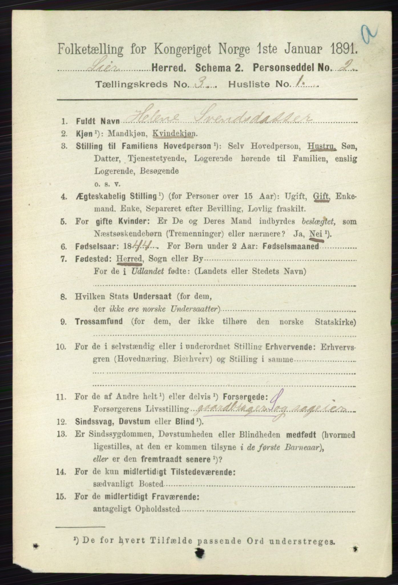 RA, 1891 census for 0626 Lier, 1891, p. 2495