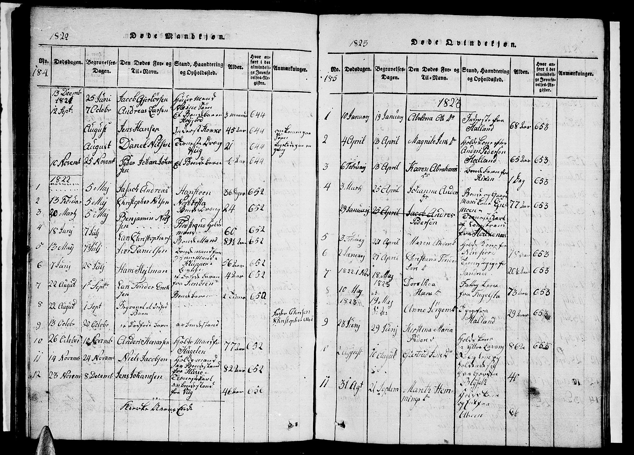 Ministerialprotokoller, klokkerbøker og fødselsregistre - Nordland, SAT/A-1459/838/L0554: Parish register (copy) no. 838C01, 1820-1828, p. 184-185