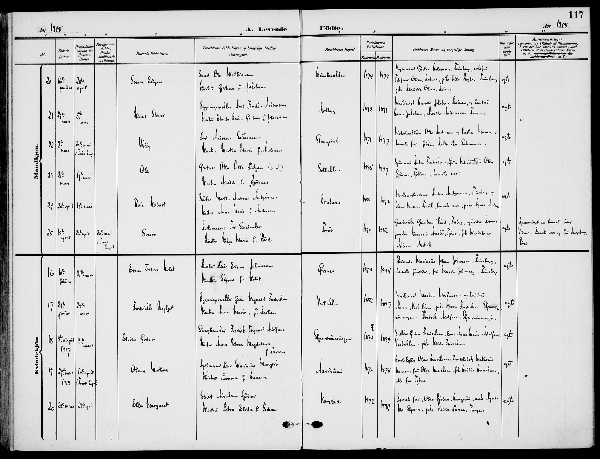 Nøtterøy kirkebøker, AV/SAKO-A-354/F/Fa/L0010: Parish register (official) no. I 10, 1908-1919, p. 117