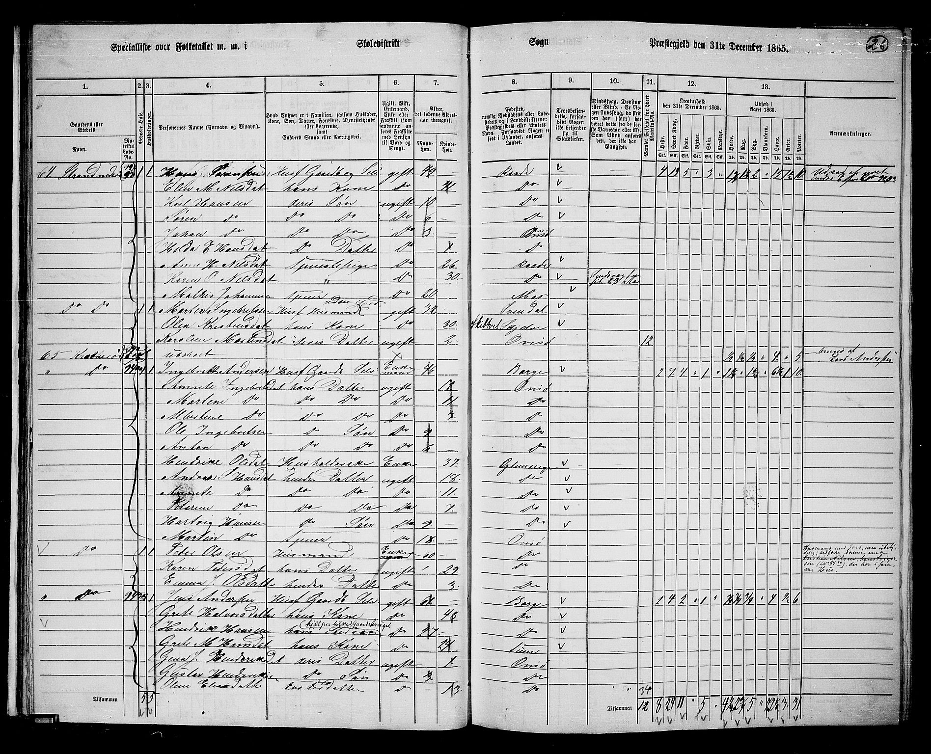 RA, 1865 census for Onsøy, 1865, p. 30