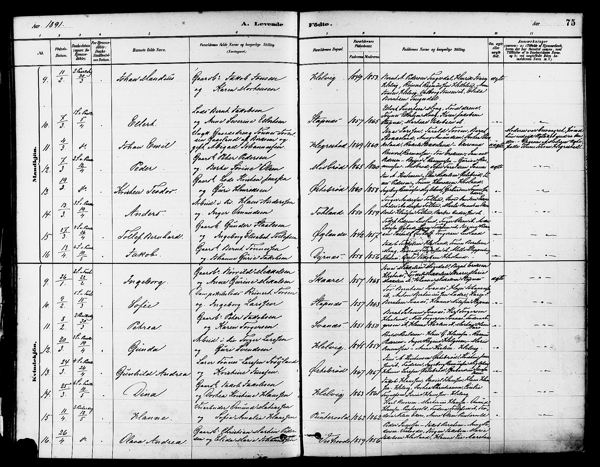 Eigersund sokneprestkontor, AV/SAST-A-101807/S08/L0017: Parish register (official) no. A 14, 1879-1892, p. 75