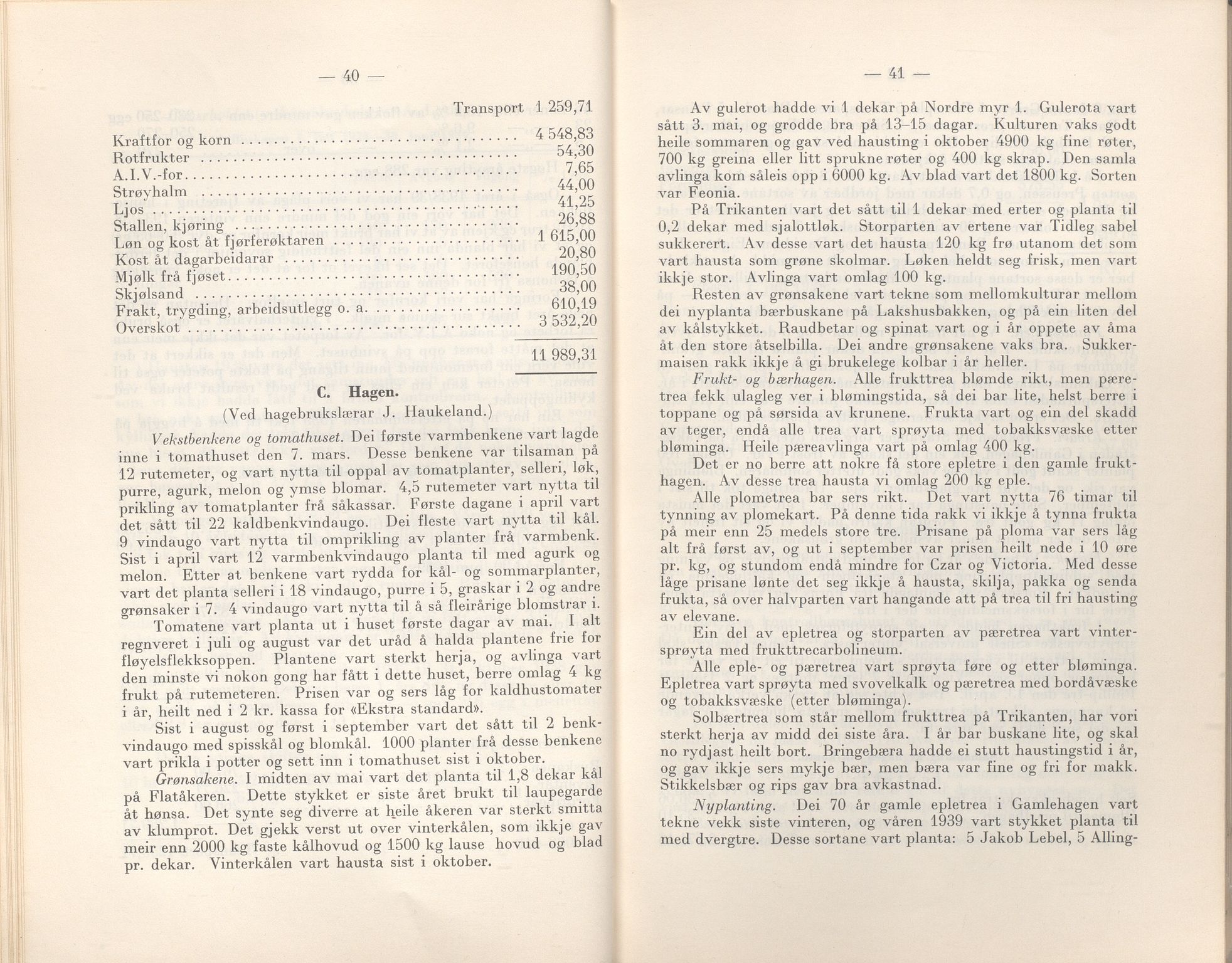 Rogaland fylkeskommune - Fylkesrådmannen , IKAR/A-900/A/Aa/Aaa/L0059: Møtebok , 1940, p. 40-41