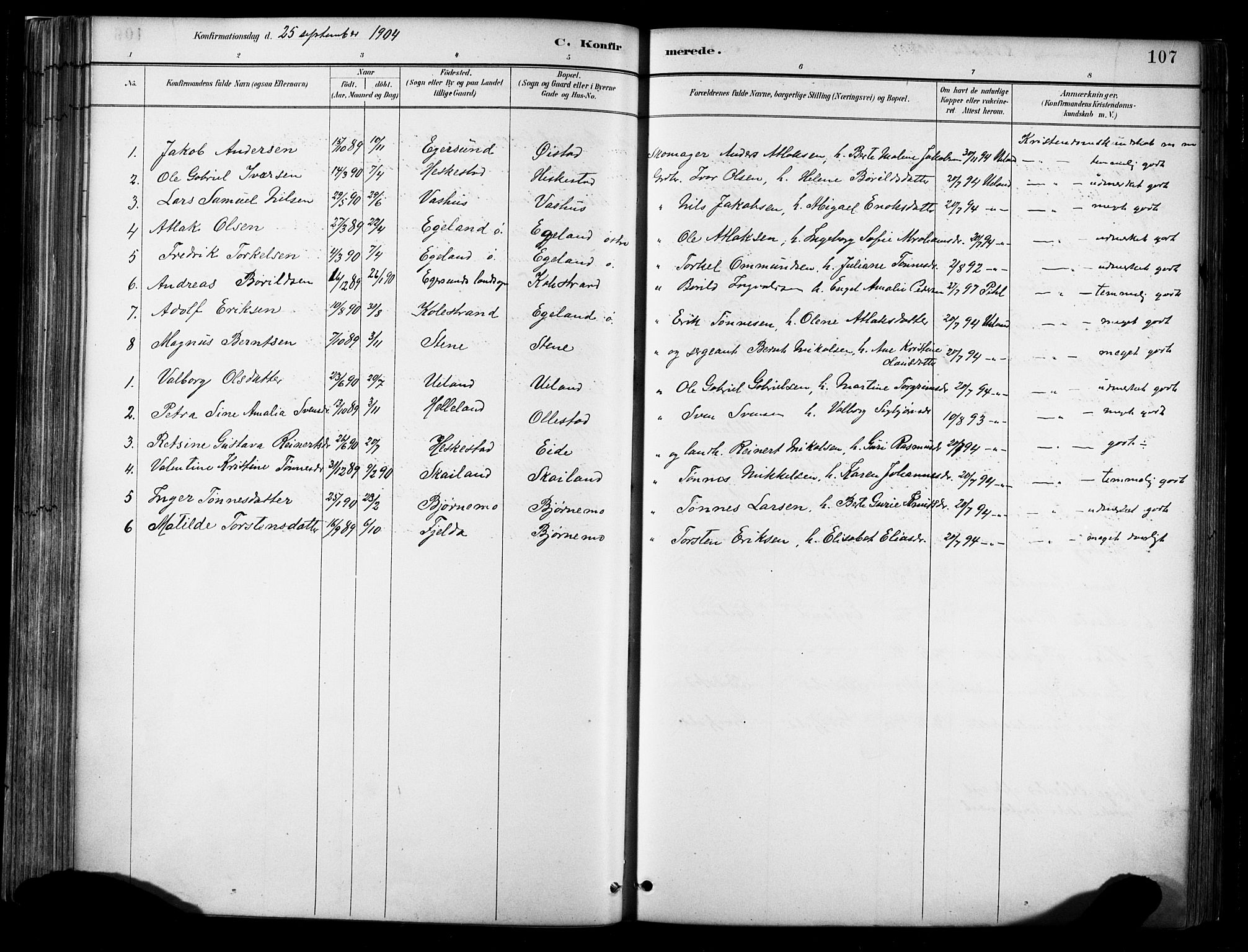 Lund sokneprestkontor, AV/SAST-A-101809/S06/L0012: Parish register (official) no. A 11, 1887-1921, p. 107