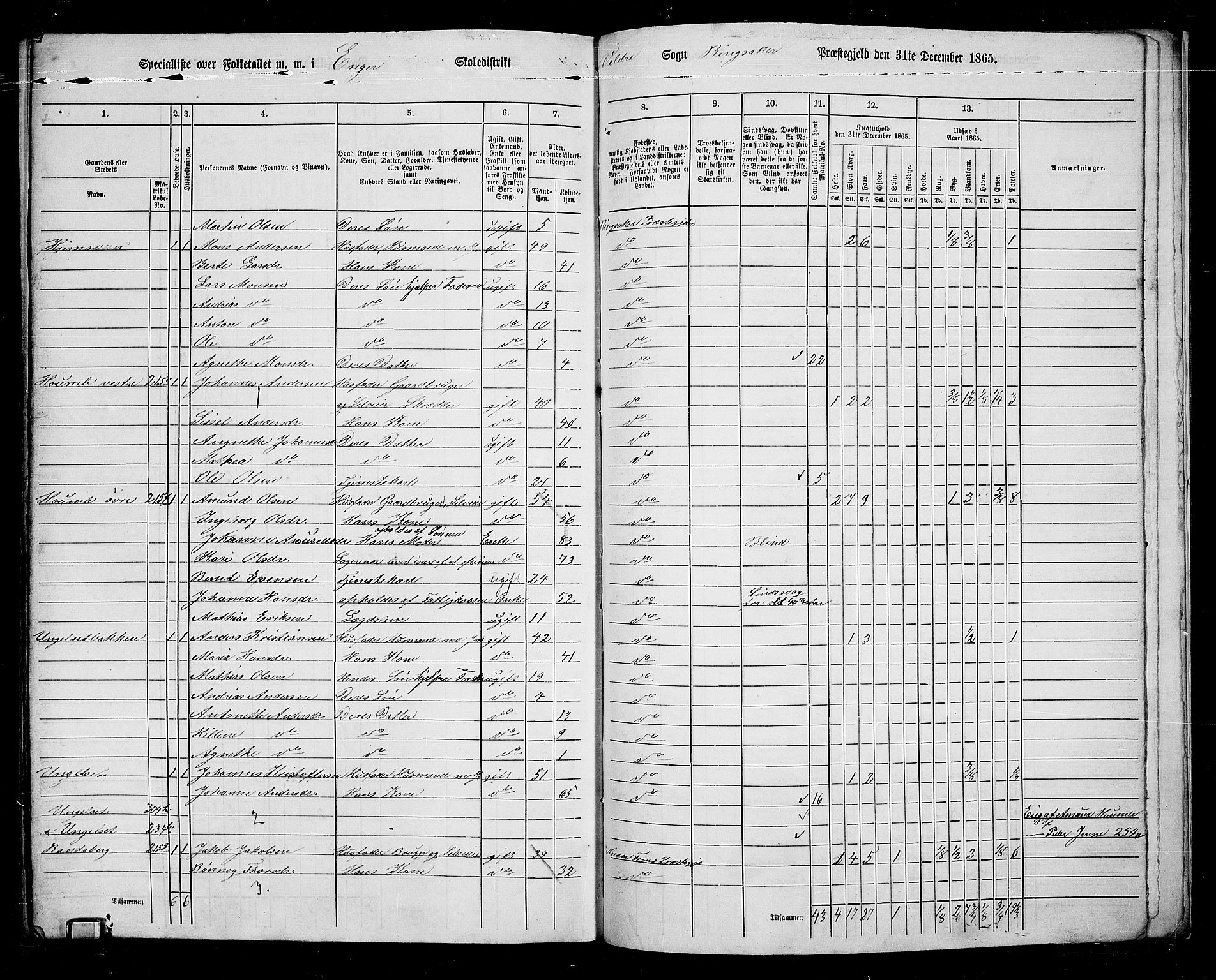 RA, 1865 census for Ringsaker, 1865, p. 251
