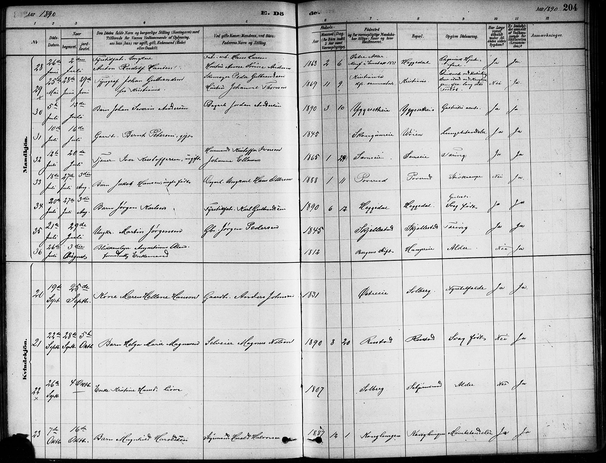 Asker prestekontor Kirkebøker, AV/SAO-A-10256a/F/Fa/L0013: Parish register (official) no. I 13, 1879-1896, p. 204