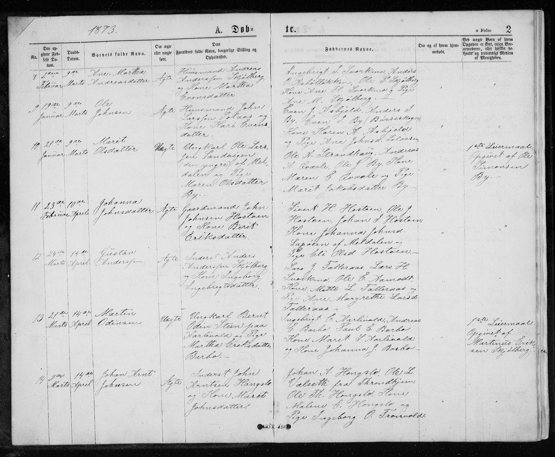 Ministerialprotokoller, klokkerbøker og fødselsregistre - Sør-Trøndelag, SAT/A-1456/671/L0843: Parish register (copy) no. 671C02, 1873-1892, p. 2