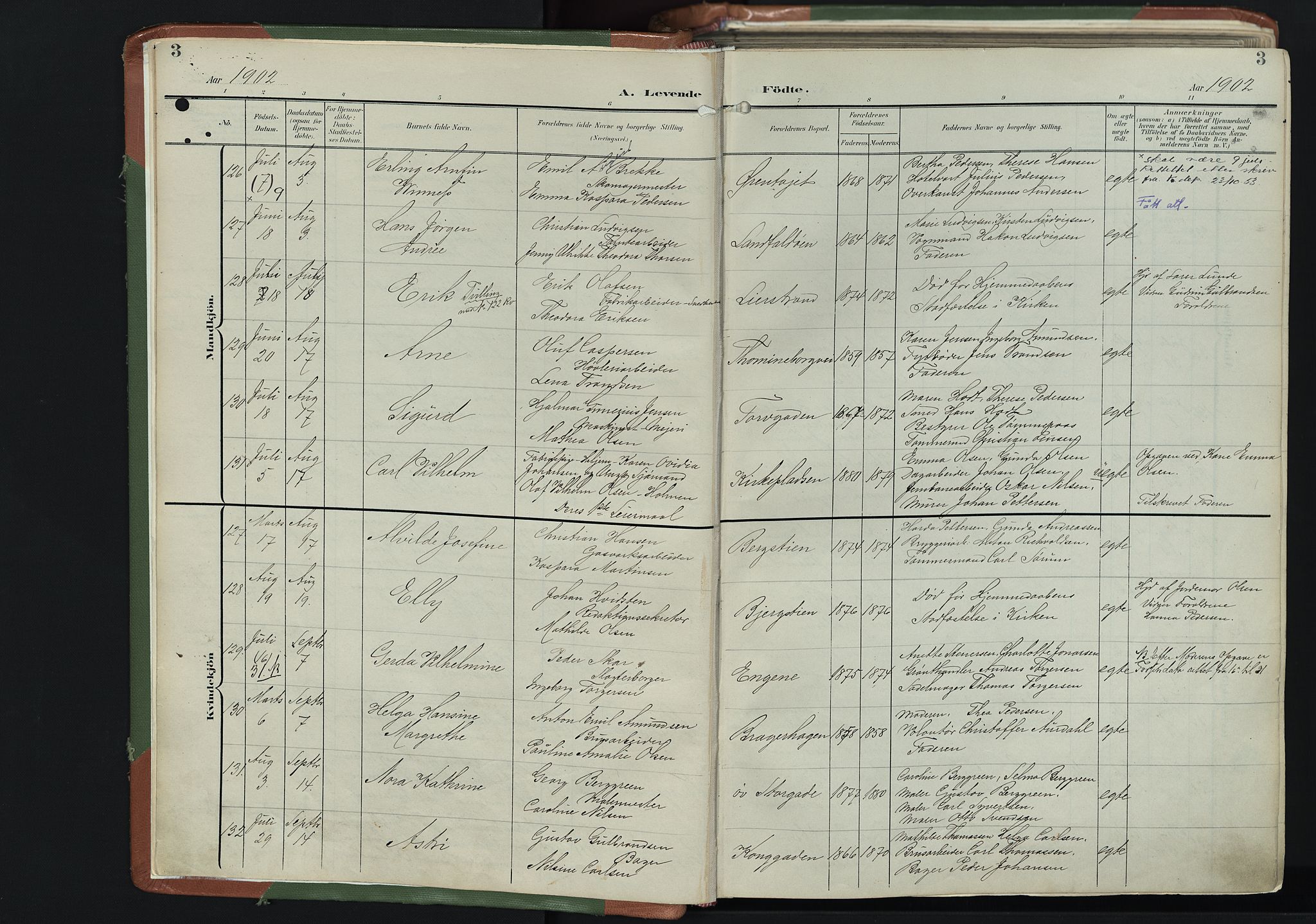 Bragernes kirkebøker, AV/SAKO-A-6/F/Fb/L0009: Parish register (official) no. II 9, 1902-1911, p. 3