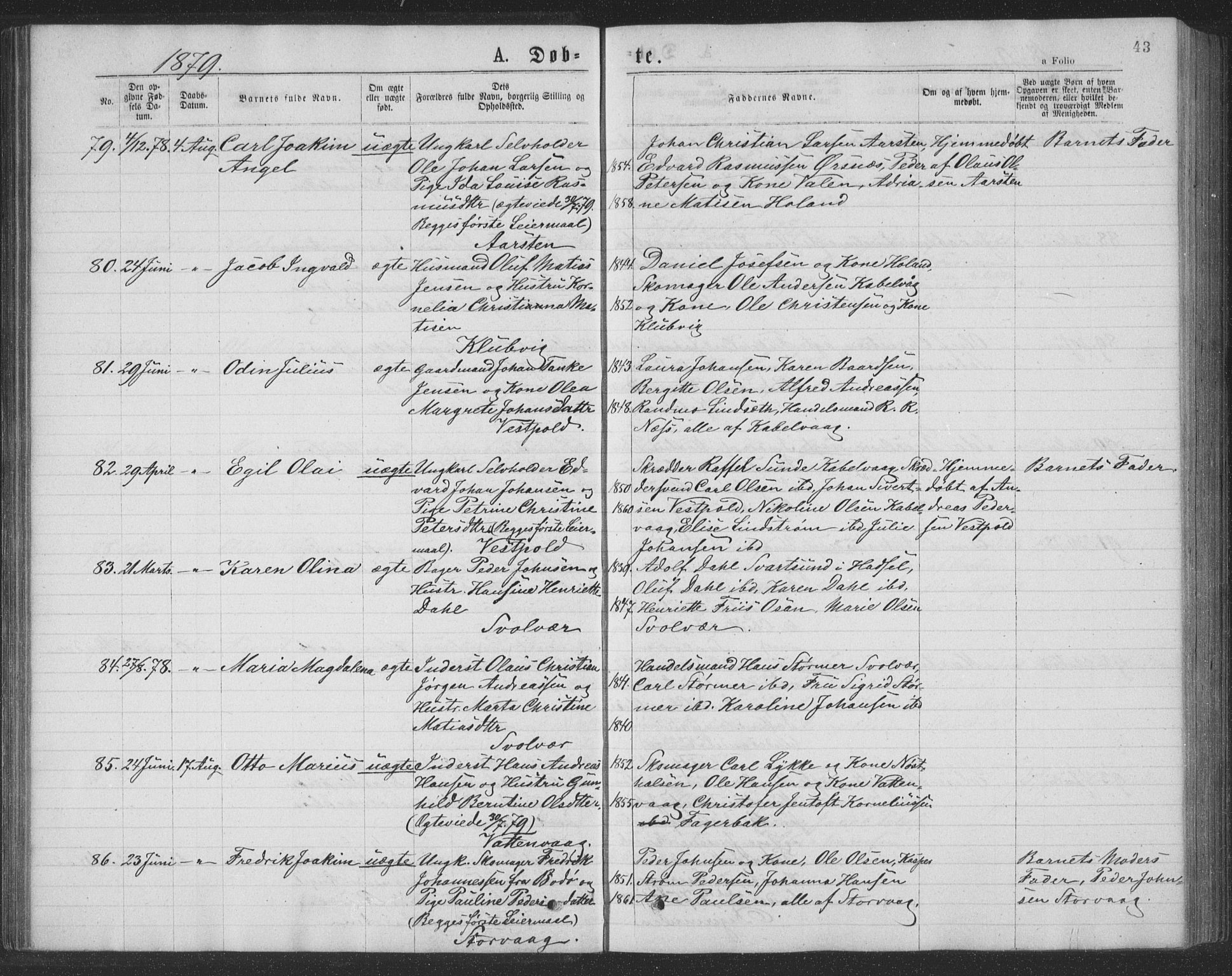 Ministerialprotokoller, klokkerbøker og fødselsregistre - Nordland, AV/SAT-A-1459/874/L1075: Parish register (copy) no. 874C04, 1876-1883, p. 43