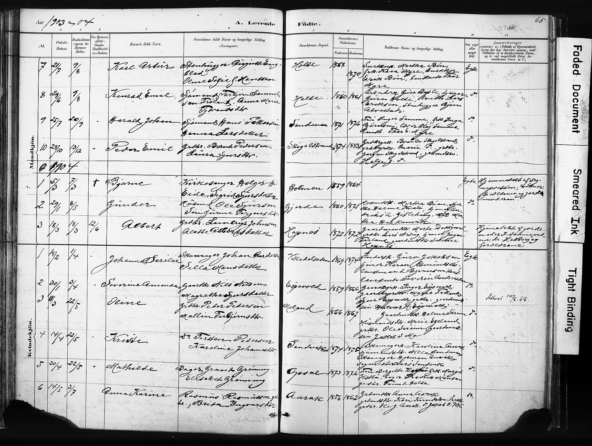 Vikedal sokneprestkontor, AV/SAST-A-101840/01/IV: Parish register (official) no. A 10, 1884-1907, p. 65