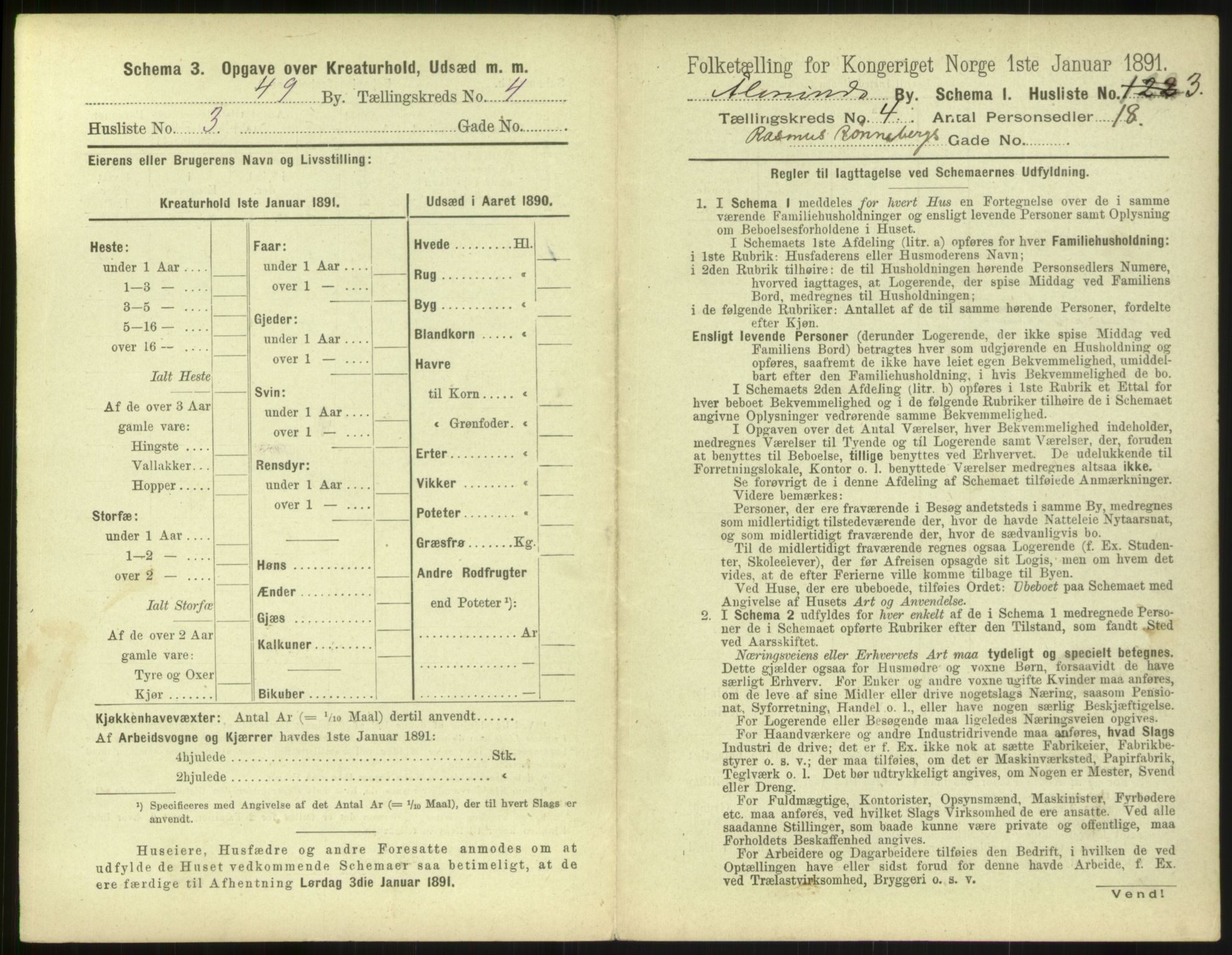 RA, 1891 census for 1501 Ålesund, 1891, p. 300