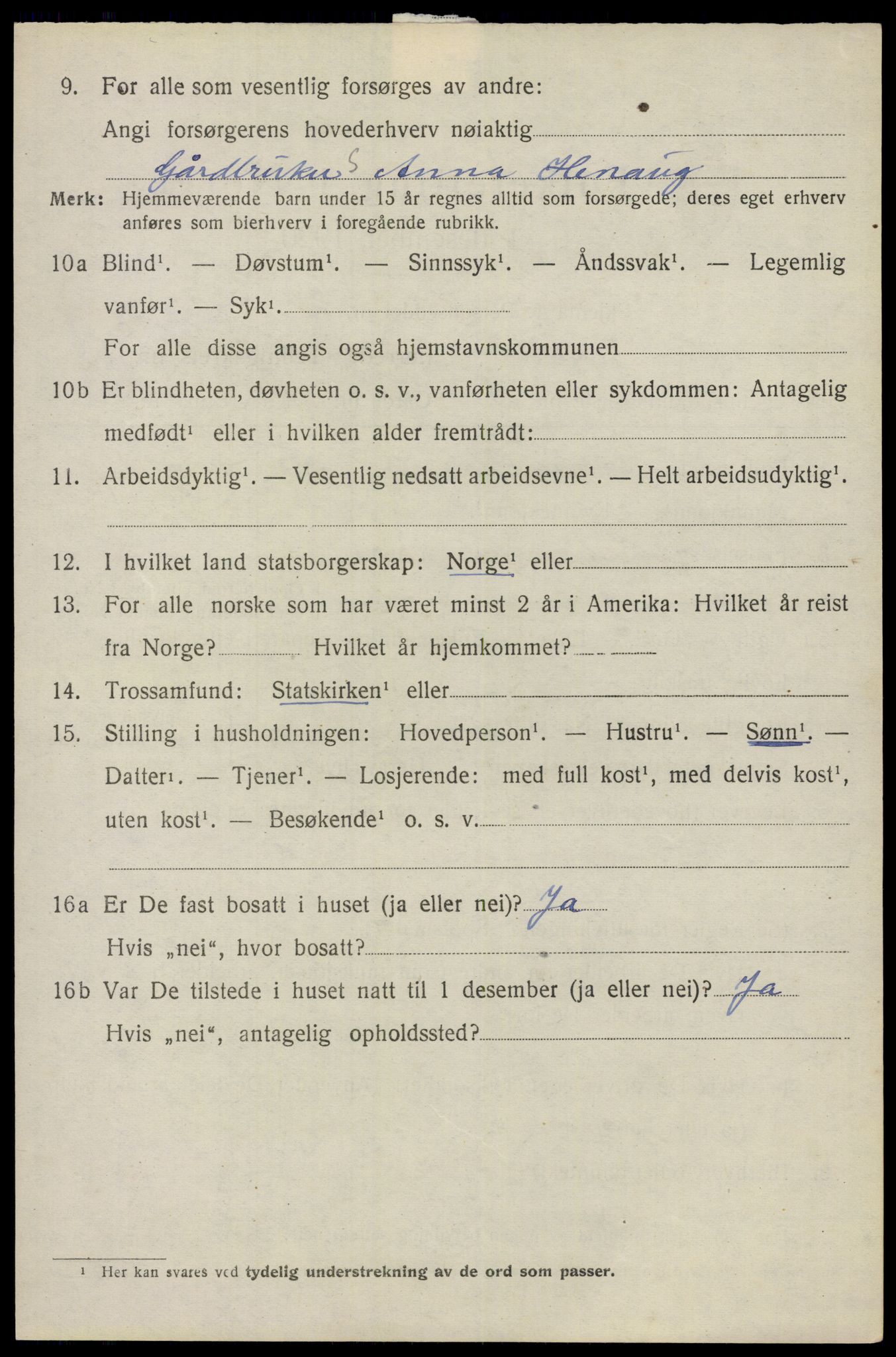 SAO, 1920 census for Nes, 1920, p. 13427