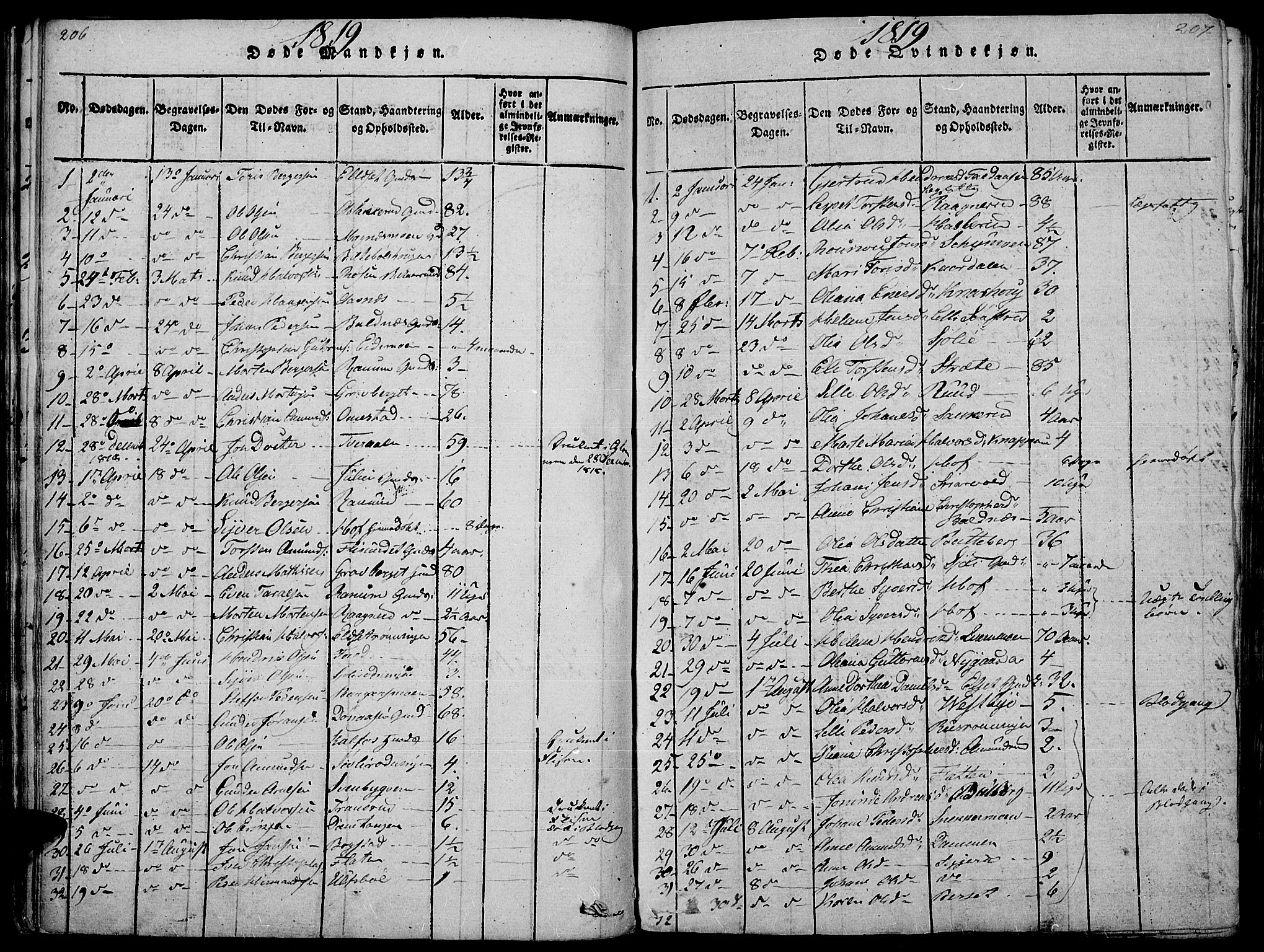 Hof prestekontor, SAH/PREST-038/H/Ha/Haa/L0005: Parish register (official) no. 5, 1816-1822, p. 206-207