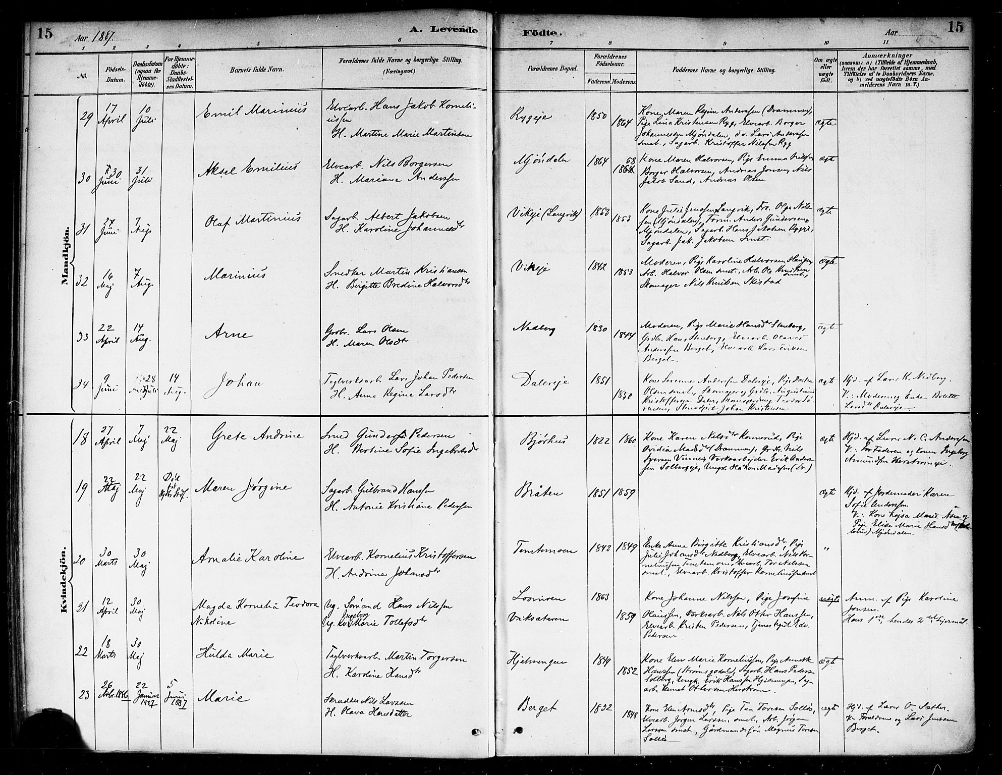 Nedre Eiker kirkebøker, SAKO/A-612/F/Fa/L0003: Parish register (official) no. 3, 1885-1892, p. 15