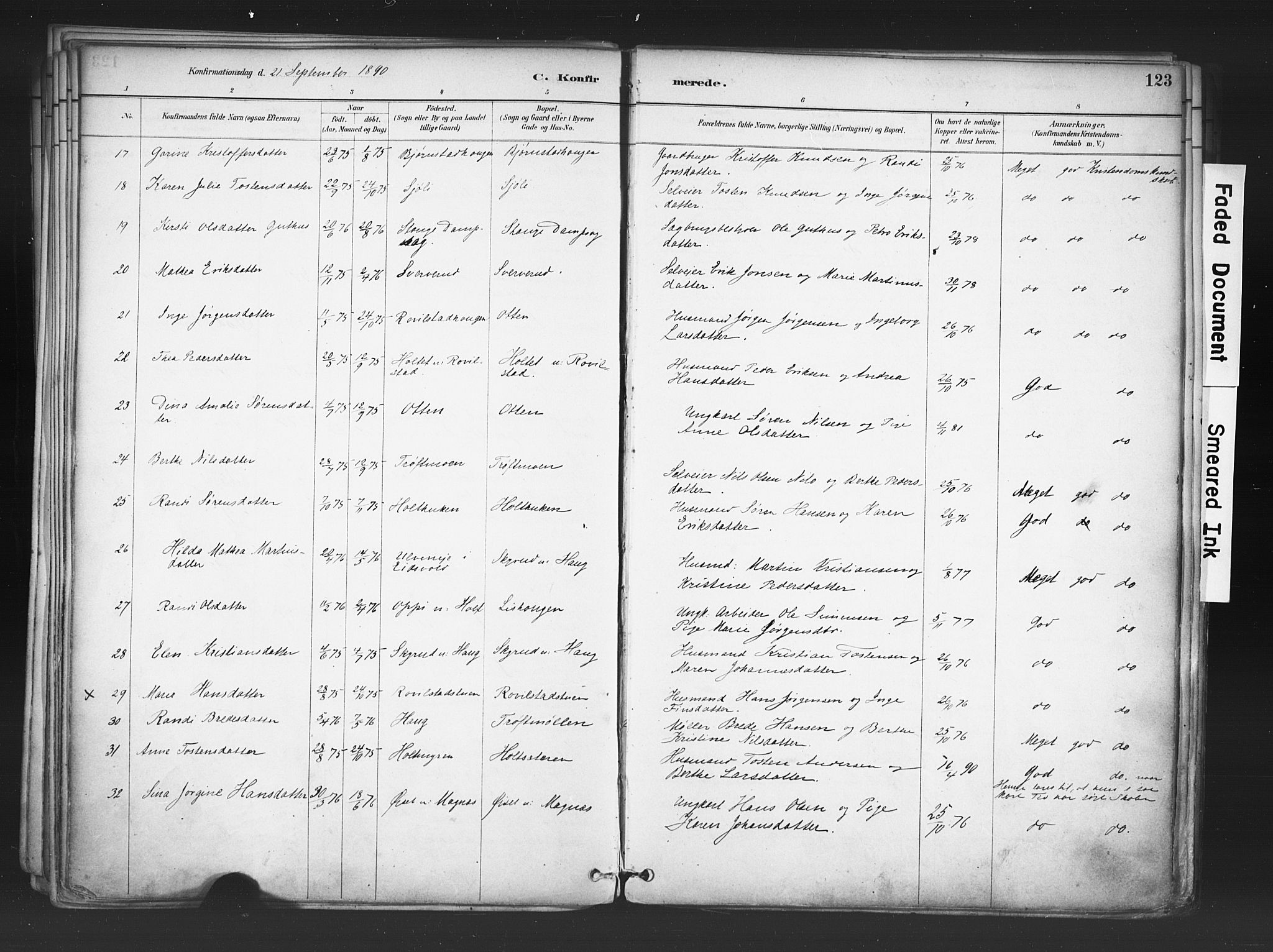 Nord-Odal prestekontor, AV/SAH-PREST-032/H/Ha/Haa/L0006: Parish register (official) no. 6, 1886-1901, p. 123