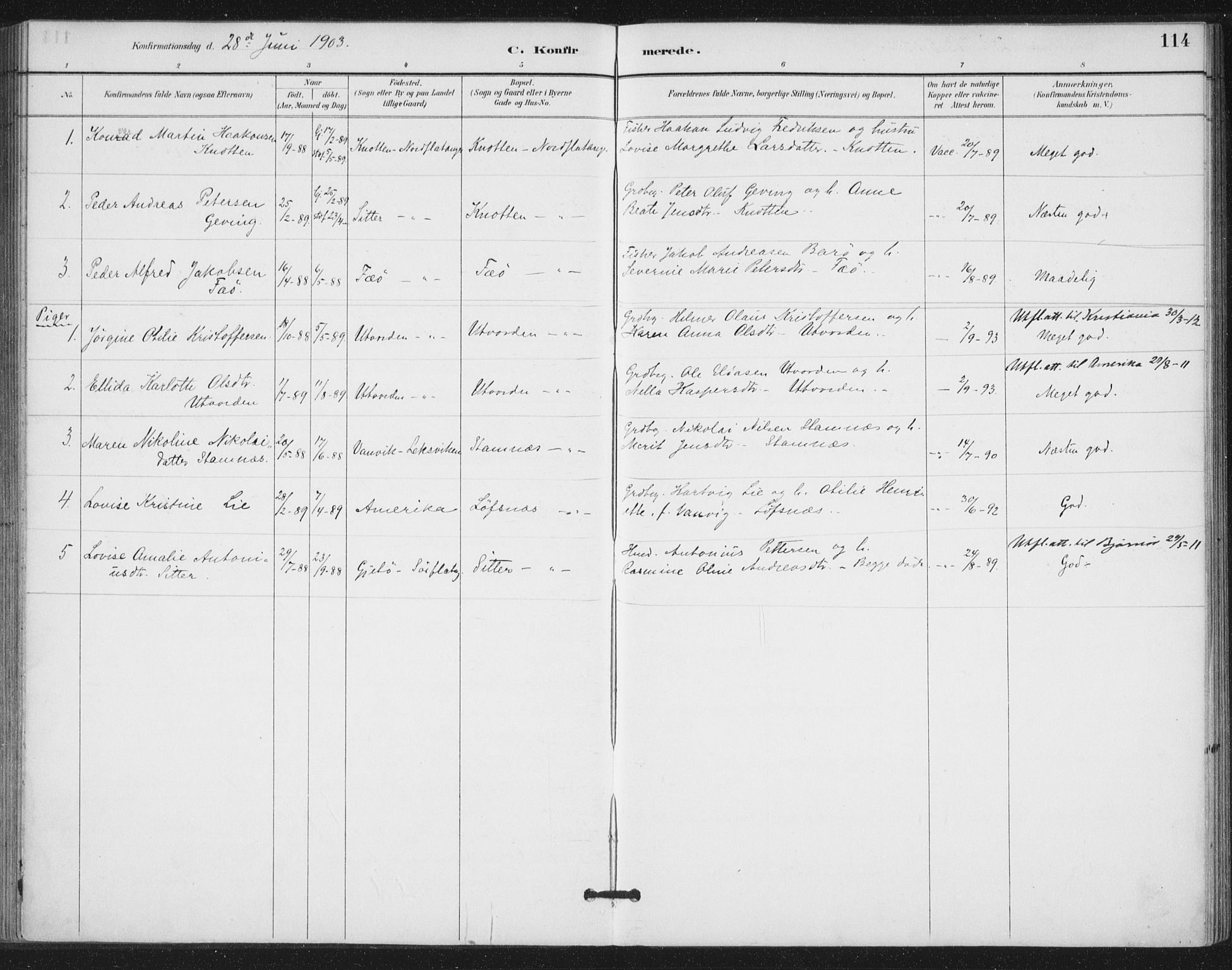 Ministerialprotokoller, klokkerbøker og fødselsregistre - Nord-Trøndelag, SAT/A-1458/772/L0603: Parish register (official) no. 772A01, 1885-1912, p. 114