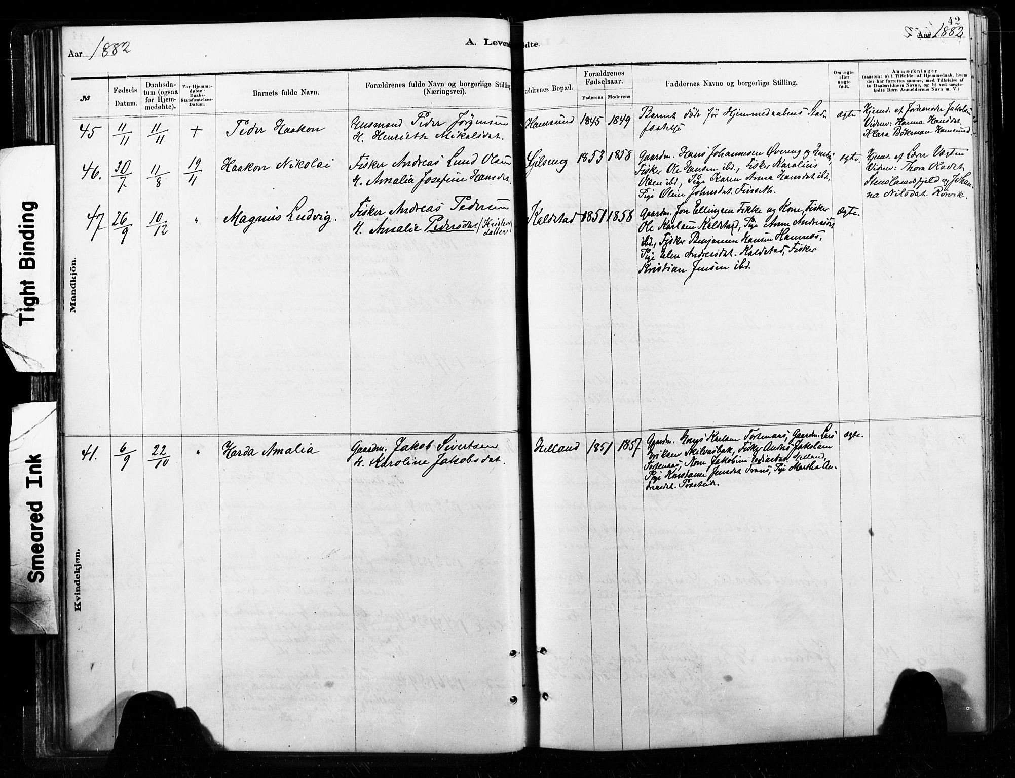 Ministerialprotokoller, klokkerbøker og fødselsregistre - Nordland, AV/SAT-A-1459/859/L0846: Parish register (official) no. 859A06, 1878-1889, p. 42