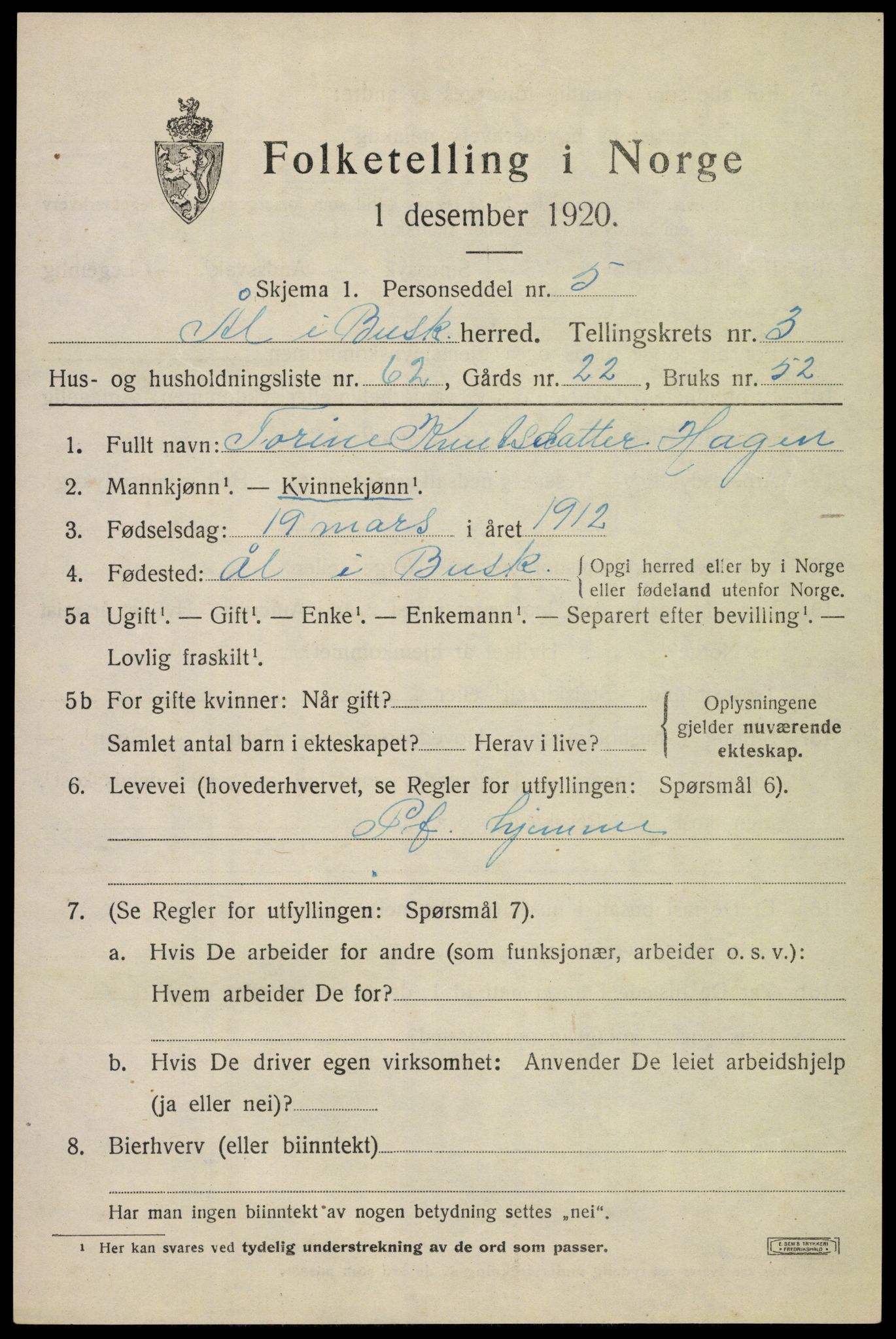 SAKO, 1920 census for Ål, 1920, p. 3072