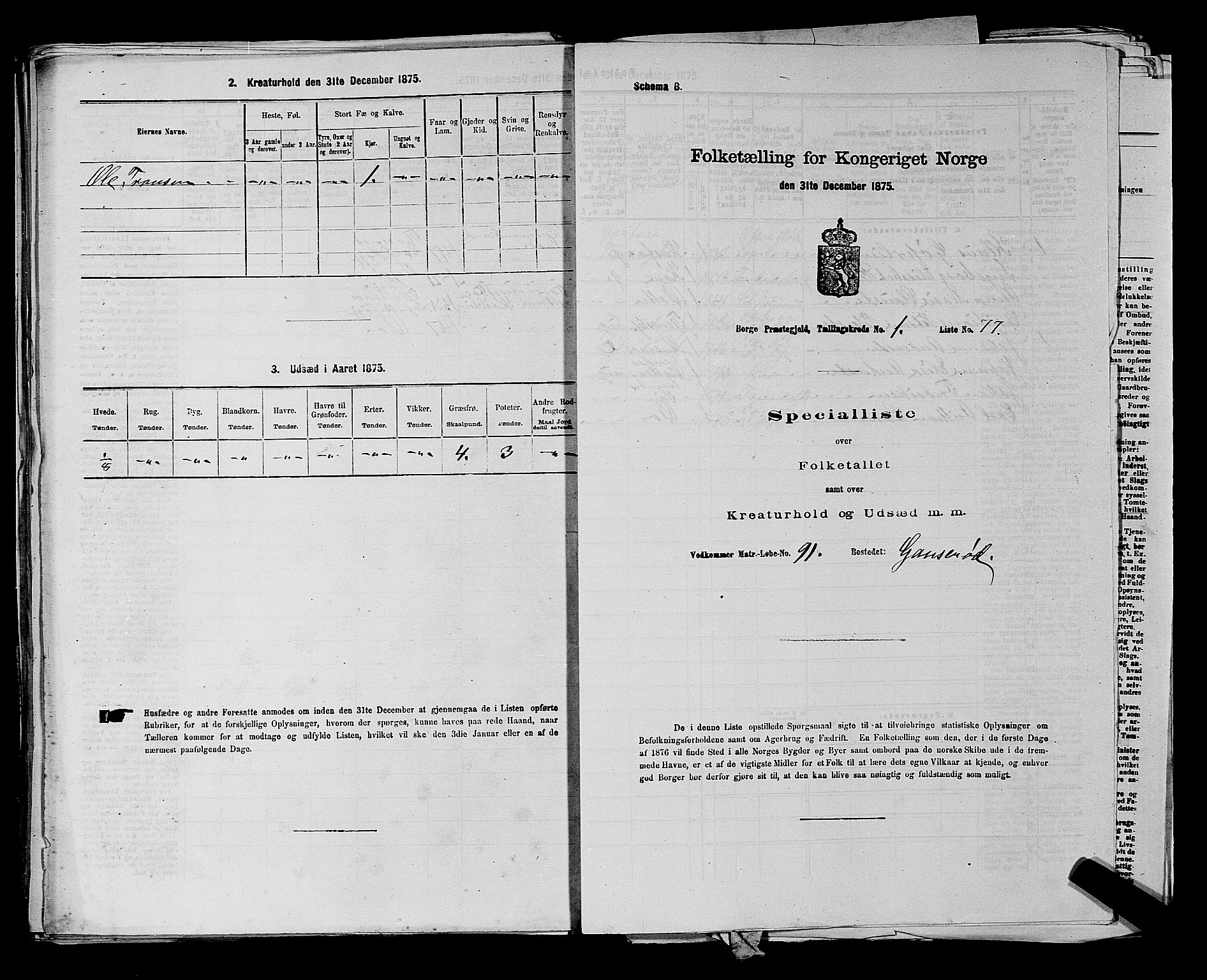 RA, 1875 census for 0113P Borge, 1875, p. 187