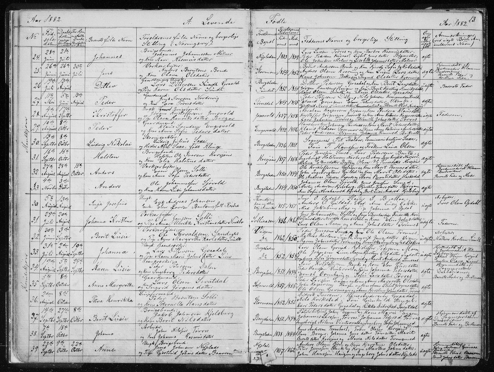 Ministerialprotokoller, klokkerbøker og fødselsregistre - Sør-Trøndelag, SAT/A-1456/681/L0940: Parish register (copy) no. 681C04, 1880-1895, p. 13