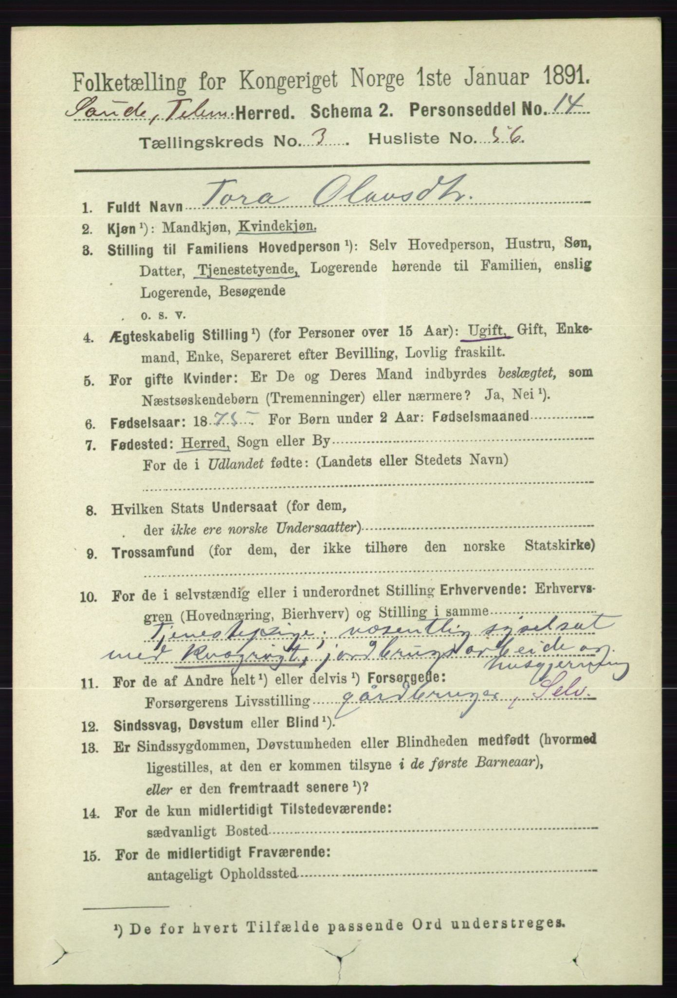 RA, 1891 census for 0822 Sauherad, 1891, p. 1036