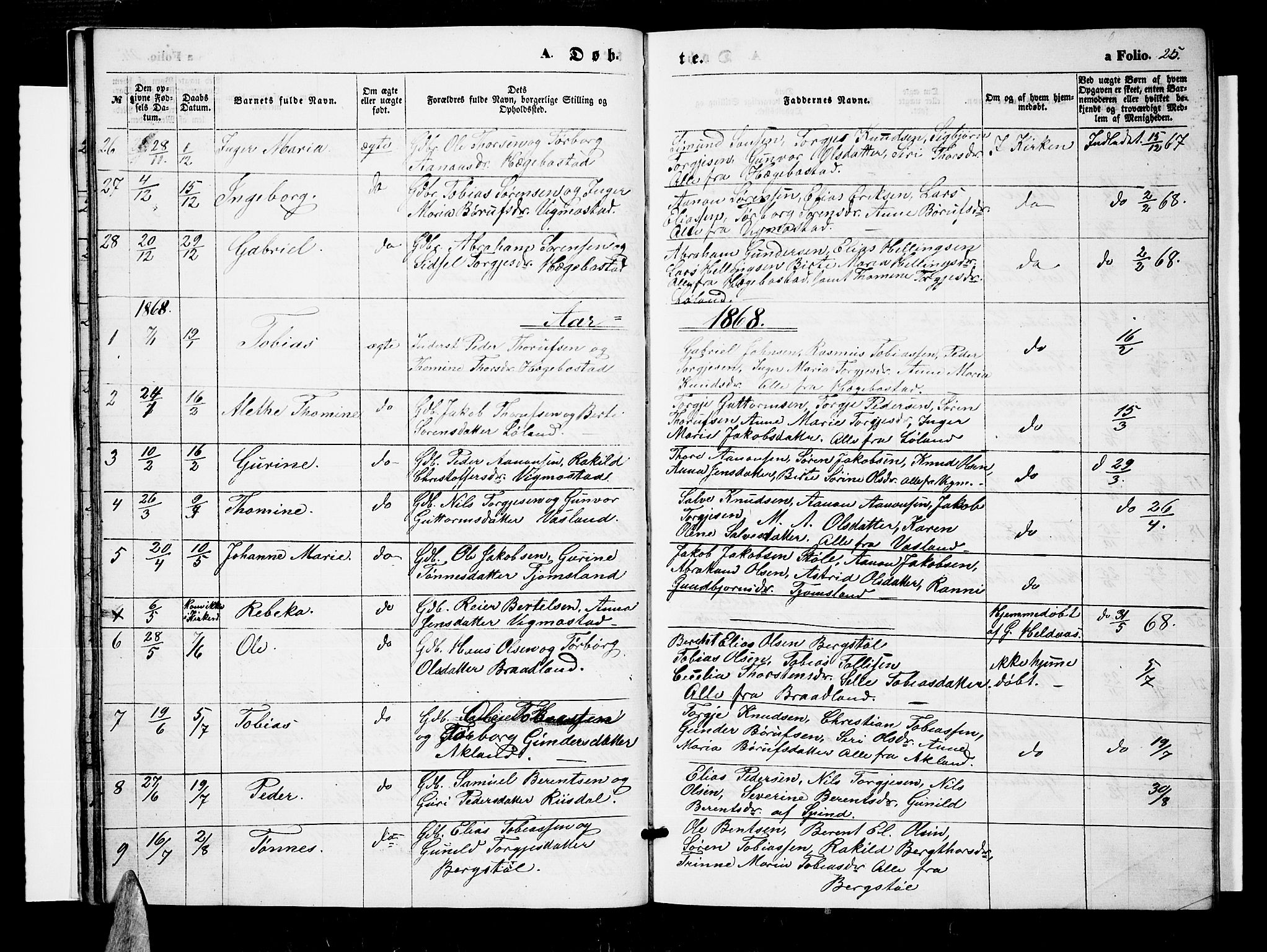 Nord-Audnedal sokneprestkontor, SAK/1111-0032/F/Fb/Fbb/L0002: Parish register (copy) no. B 2, 1859-1882, p. 25