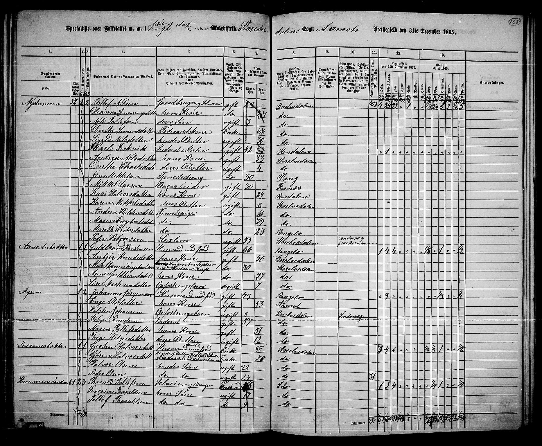 RA, 1865 census for Åmot, 1865, p. 144