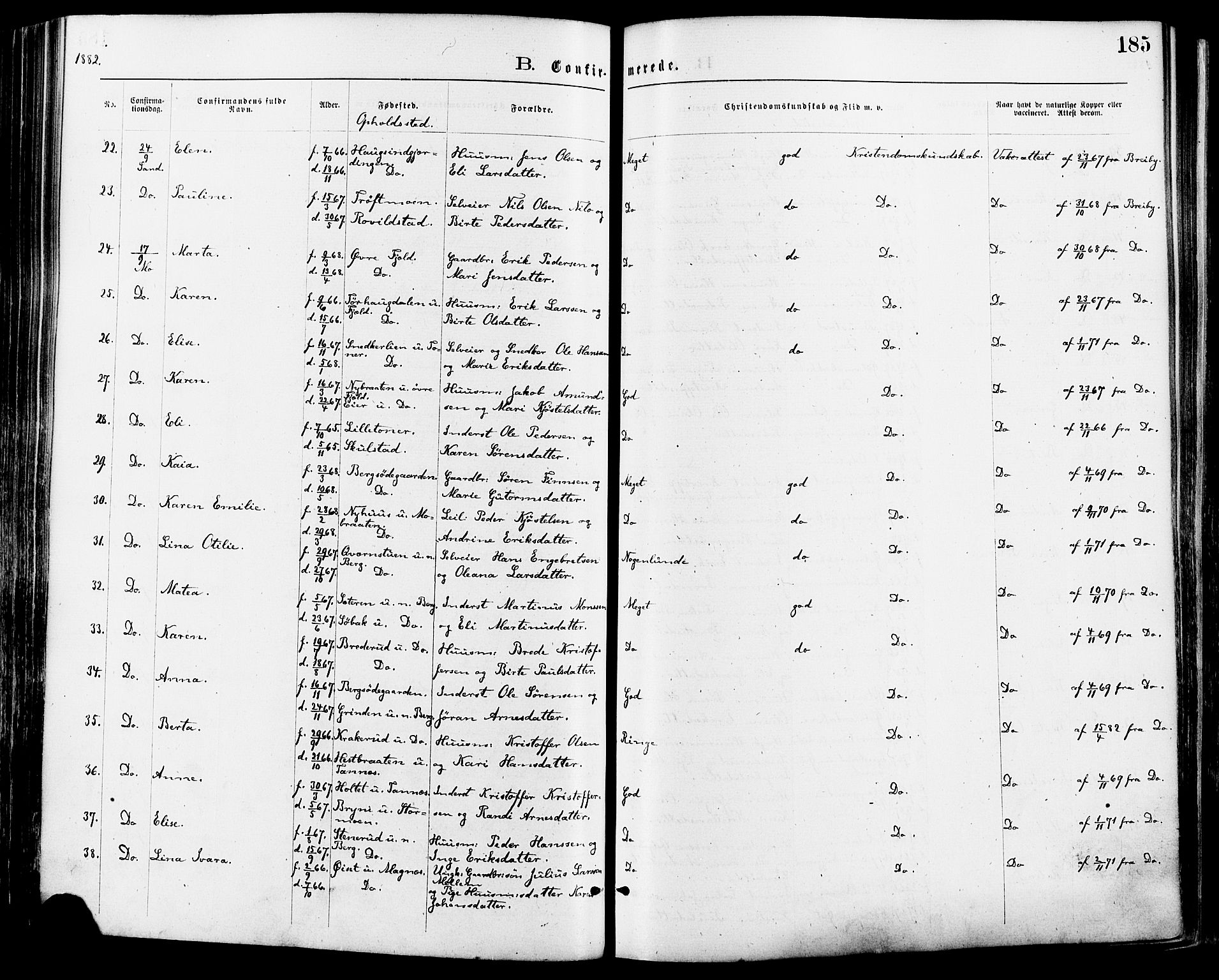 Nord-Odal prestekontor, AV/SAH-PREST-032/H/Ha/Haa/L0005: Parish register (official) no. 5, 1874-1885, p. 185