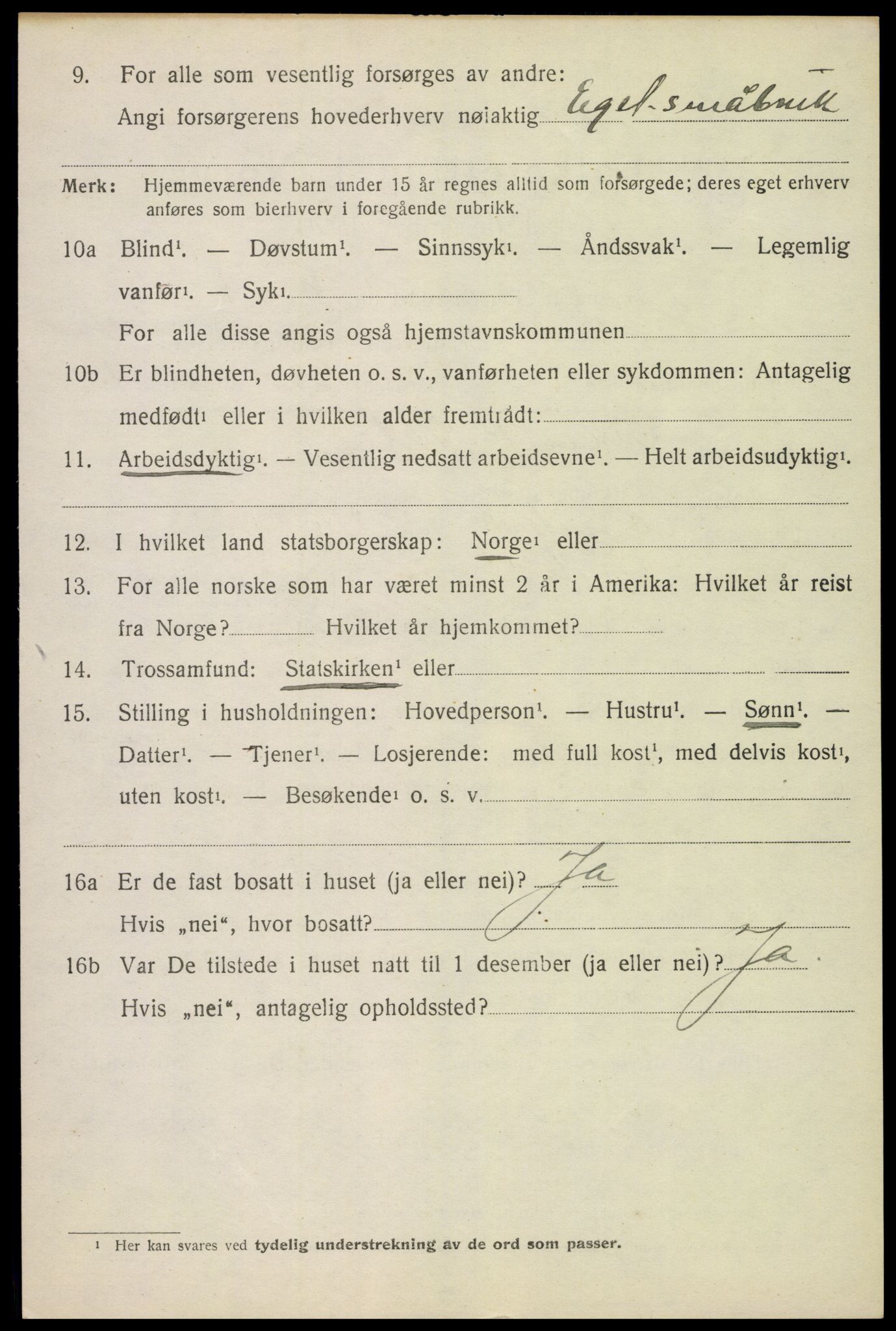 SAH, 1920 census for Nes (Hedmark), 1920, p. 6553