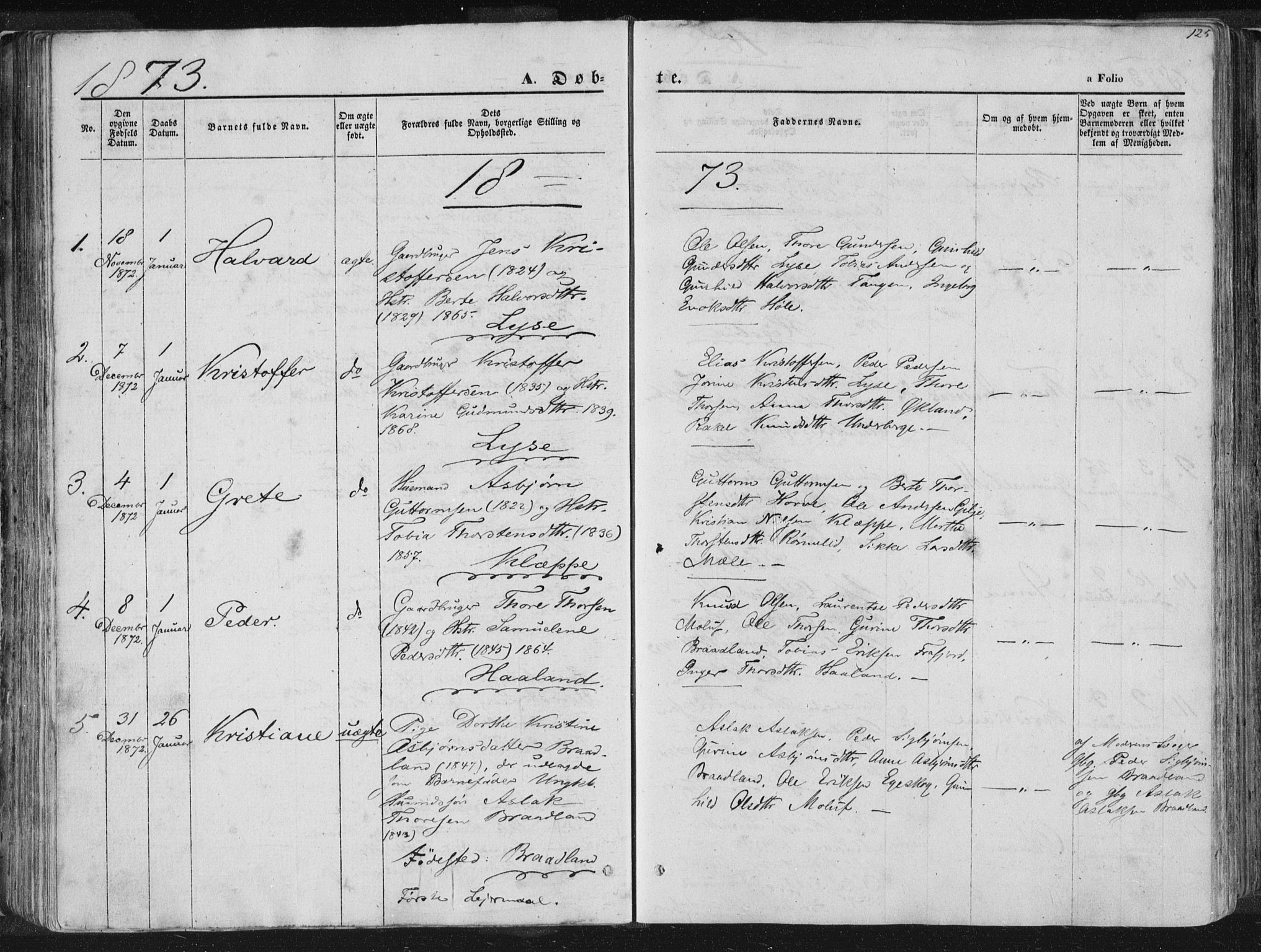 Høgsfjord sokneprestkontor, SAST/A-101624/H/Ha/Haa/L0001: Parish register (official) no. A 1, 1854-1875, p. 125