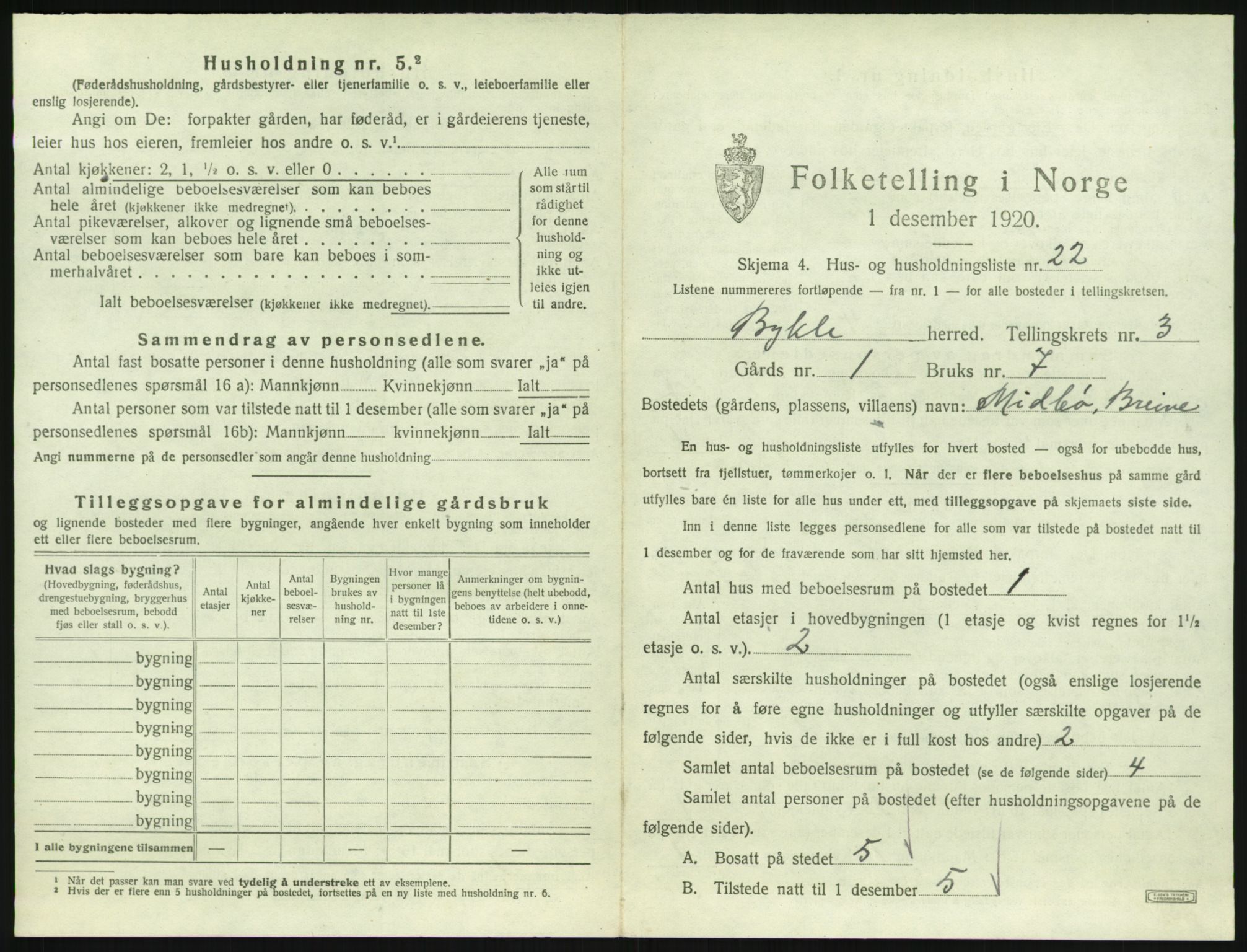 SAK, 1920 census for Bykle, 1920, p. 205