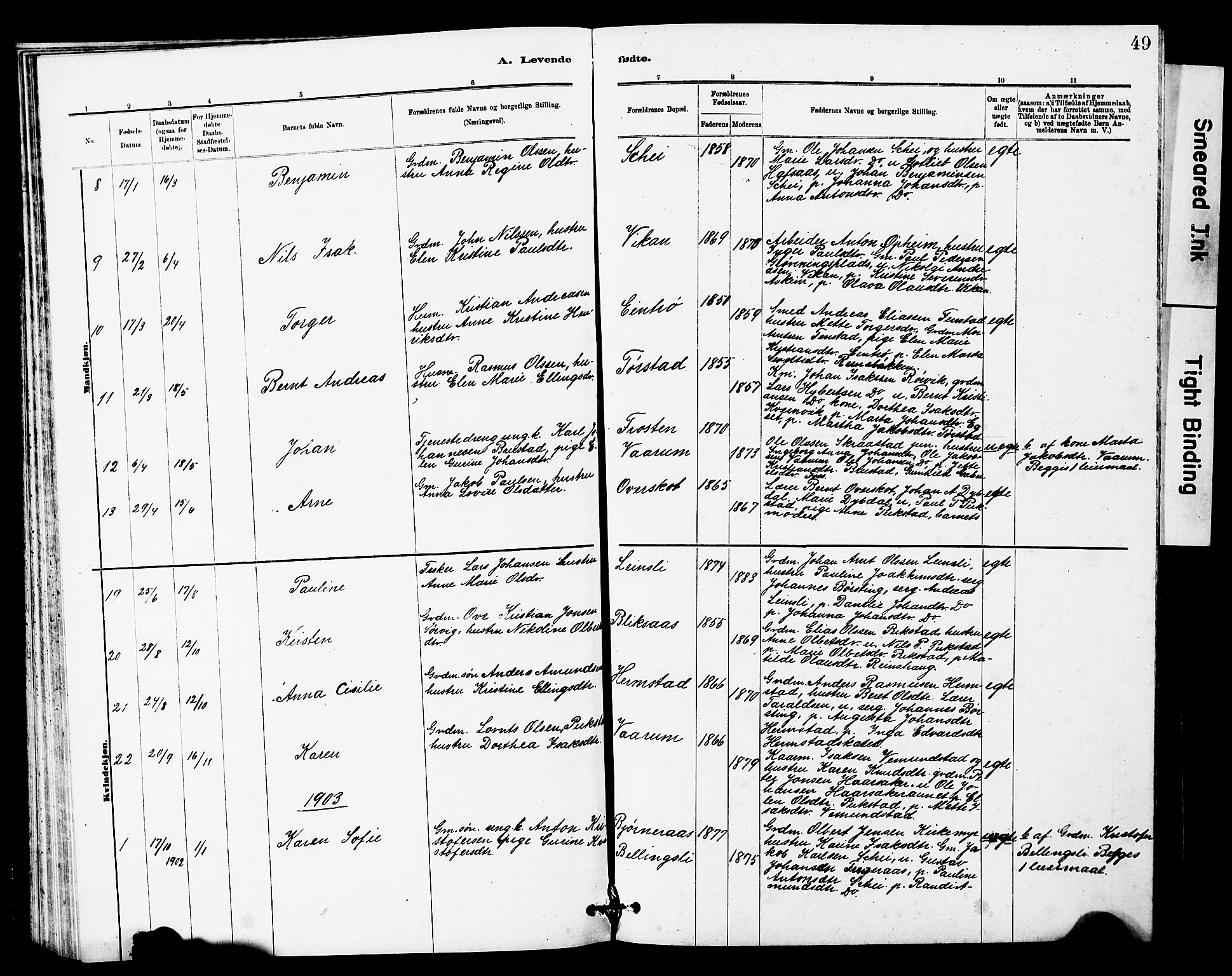 Ministerialprotokoller, klokkerbøker og fødselsregistre - Sør-Trøndelag, SAT/A-1456/646/L0628: Parish register (copy) no. 646C01, 1880-1903, p. 49