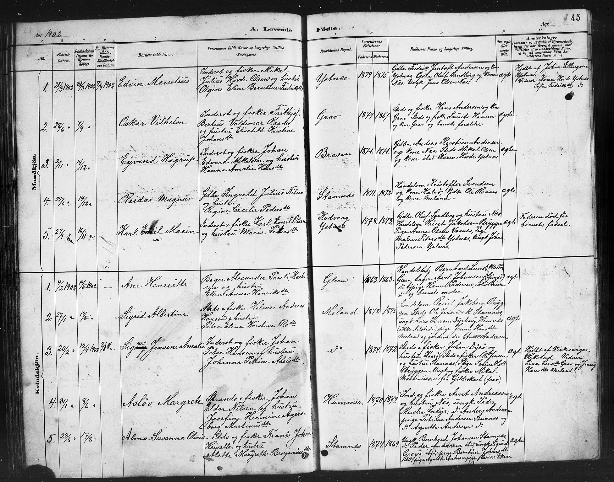 Ministerialprotokoller, klokkerbøker og fødselsregistre - Nordland, AV/SAT-A-1459/808/L0131: Parish register (copy) no. 808C02, 1879-1919, p. 45