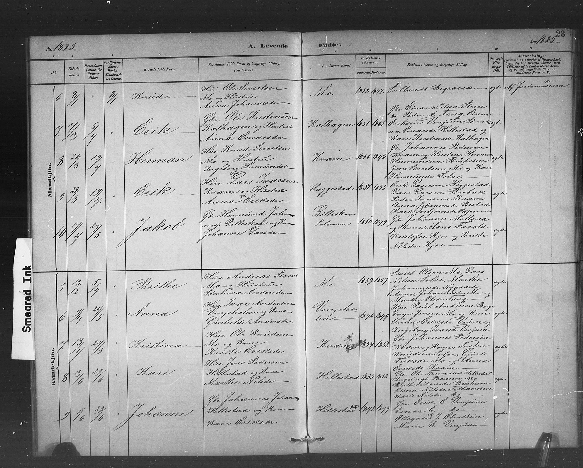 Hafslo sokneprestembete, AV/SAB-A-80301/H/Hab/Habb/L0001: Parish register (copy) no. B 1, 1882-1908, p. 23