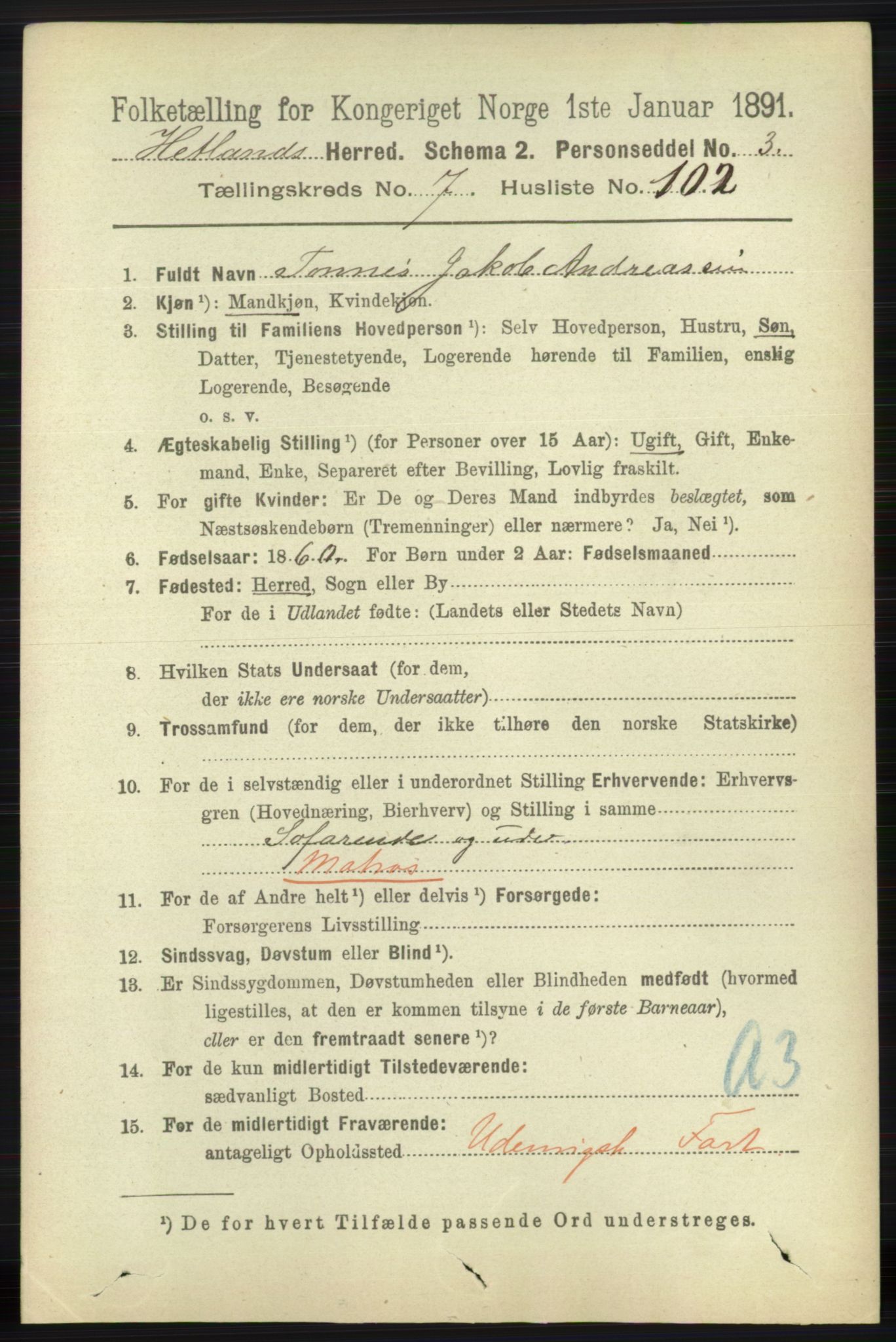 RA, 1891 census for 1126 Hetland, 1891, p. 4338