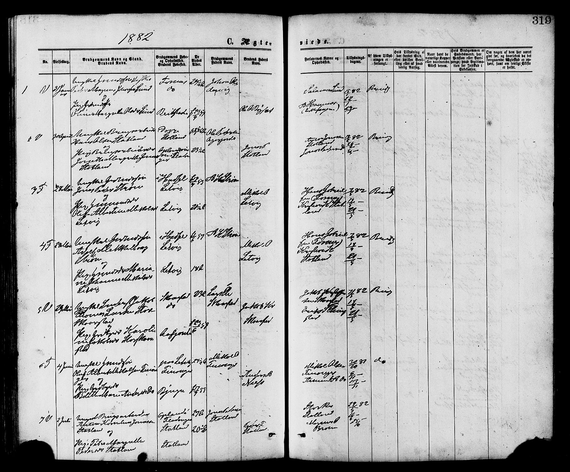 Ministerialprotokoller, klokkerbøker og fødselsregistre - Nord-Trøndelag, SAT/A-1458/773/L0616: Parish register (official) no. 773A07, 1870-1887, p. 319