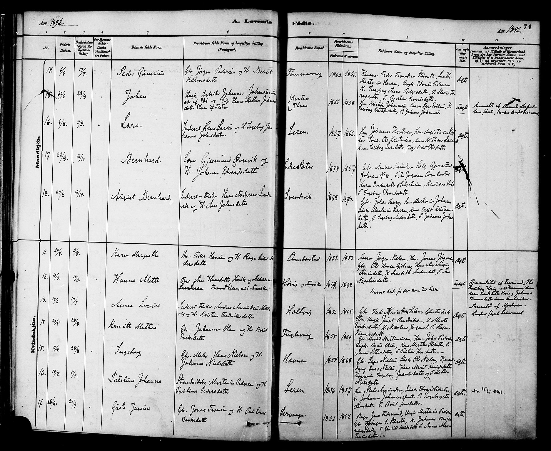 Ministerialprotokoller, klokkerbøker og fødselsregistre - Møre og Romsdal, AV/SAT-A-1454/577/L0896: Parish register (official) no. 577A03, 1880-1898, p. 71