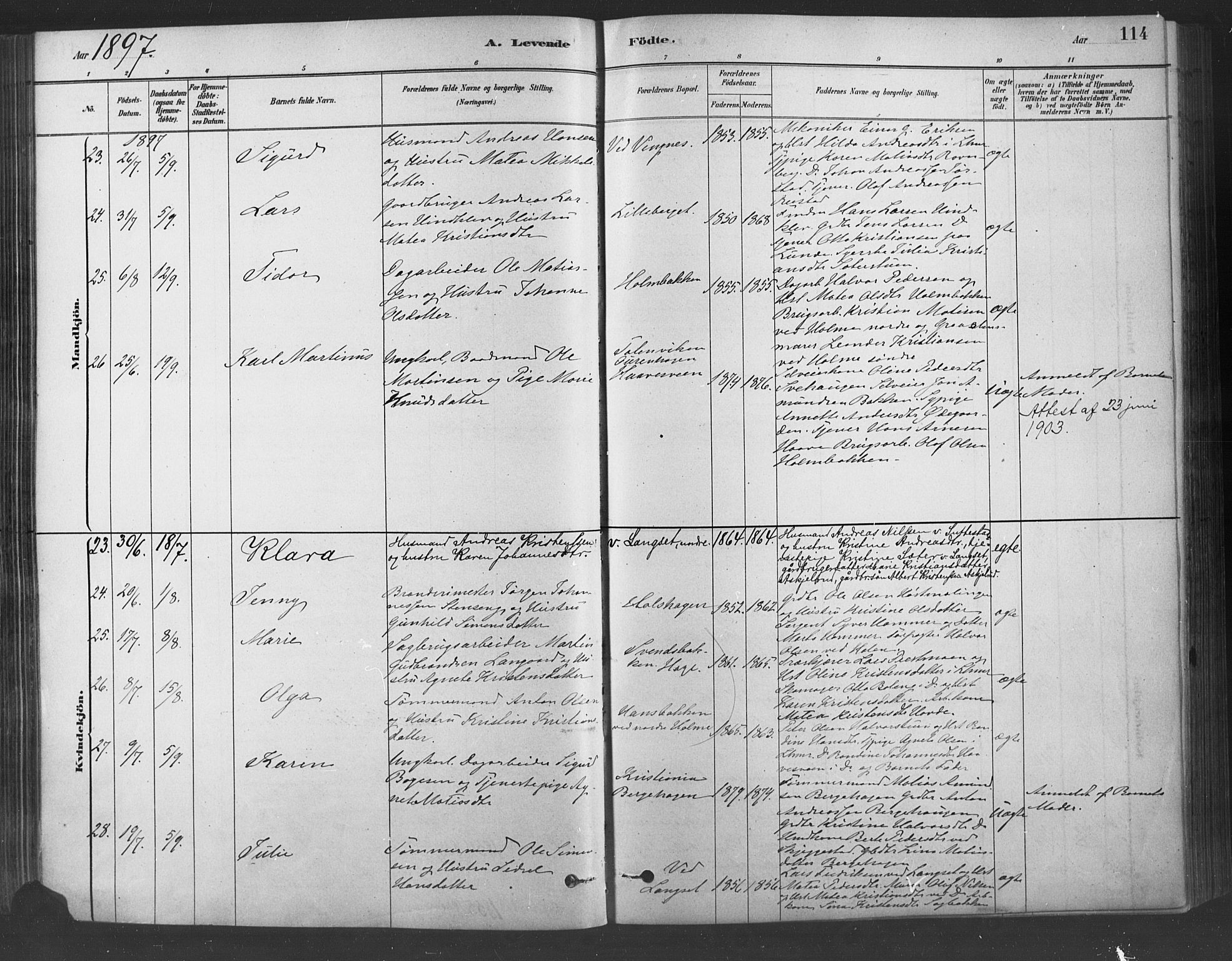 Fåberg prestekontor, AV/SAH-PREST-086/H/Ha/Haa/L0009: Parish register (official) no. 9, 1879-1898, p. 114