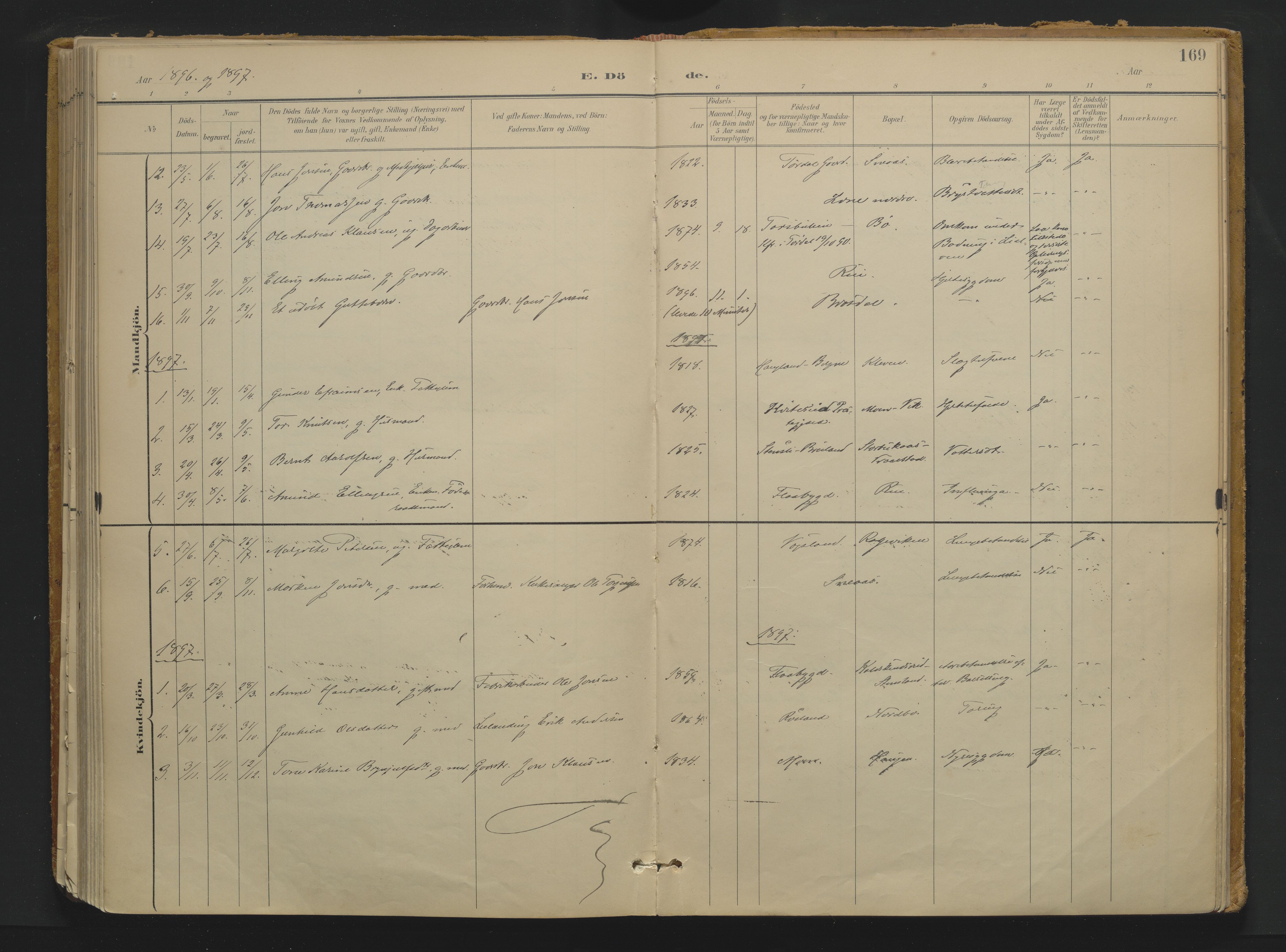Drangedal kirkebøker, SAKO/A-258/F/Fa/L0013: Parish register (official) no. 13, 1895-1919, p. 169