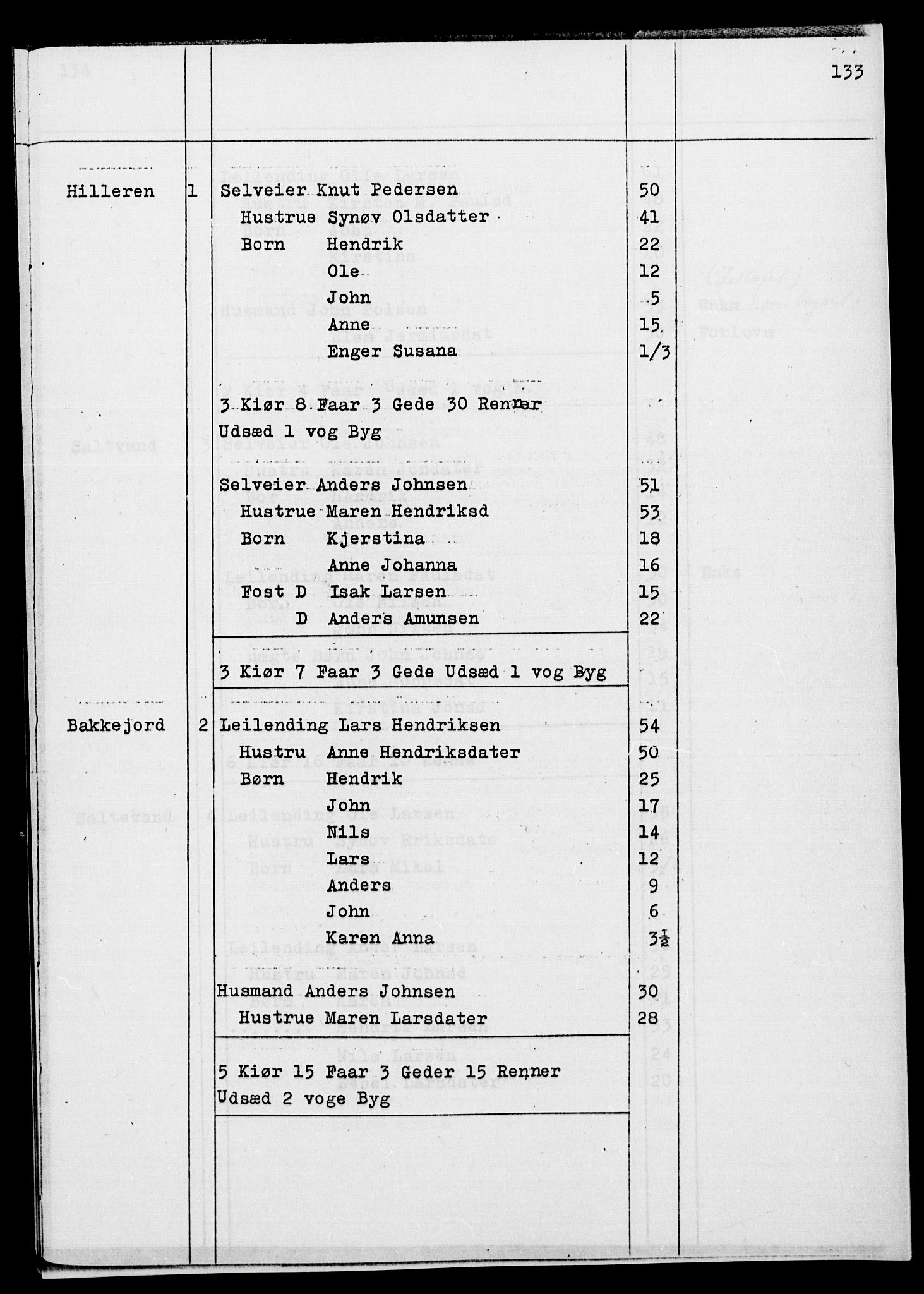 SATØ, Census 1845 for Ibestad, 1845, p. 133