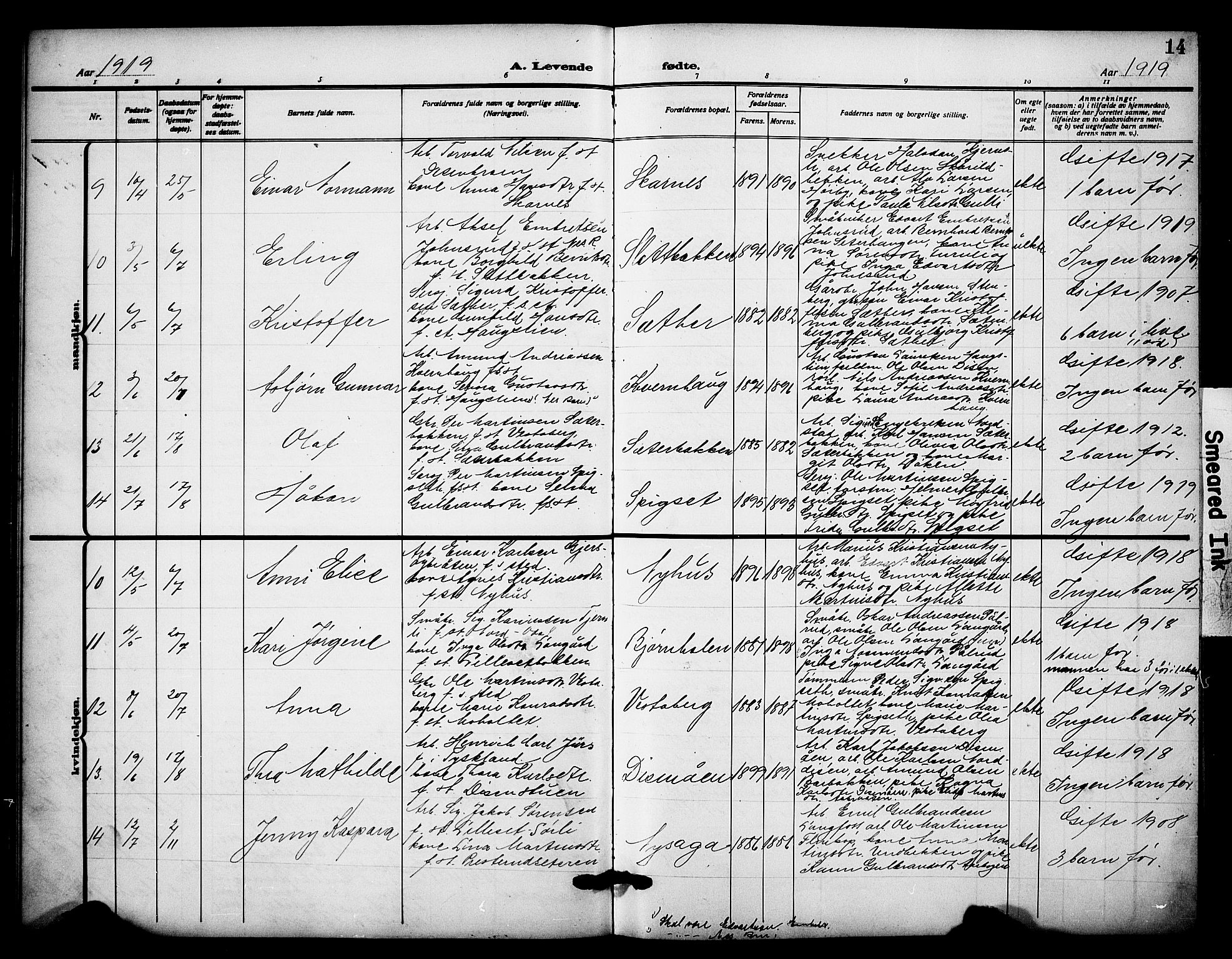 Sør-Odal prestekontor, AV/SAH-PREST-030/H/Ha/Hab/L0009: Parish register (copy) no. 9, 1915-1927, p. 14