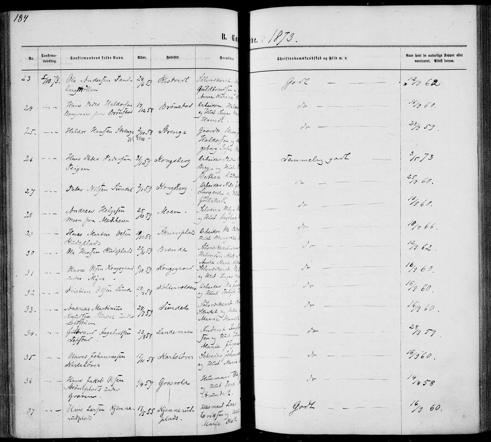 Sandsvær kirkebøker, AV/SAKO-A-244/F/Fa/L0007: Parish register (official) no. I 7, 1869-1877, p. 184