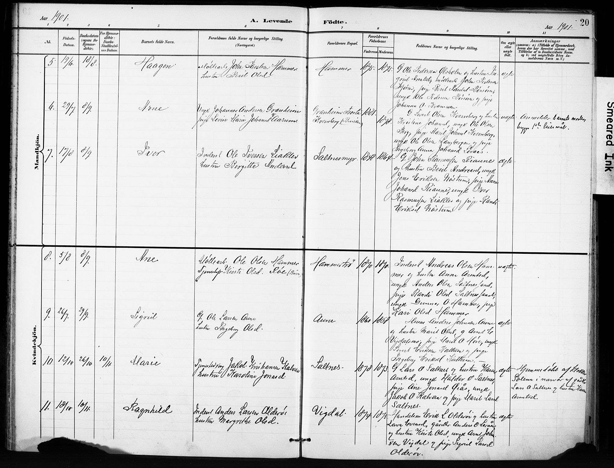 Ministerialprotokoller, klokkerbøker og fødselsregistre - Sør-Trøndelag, AV/SAT-A-1456/666/L0787: Parish register (official) no. 666A05, 1895-1908, p. 20