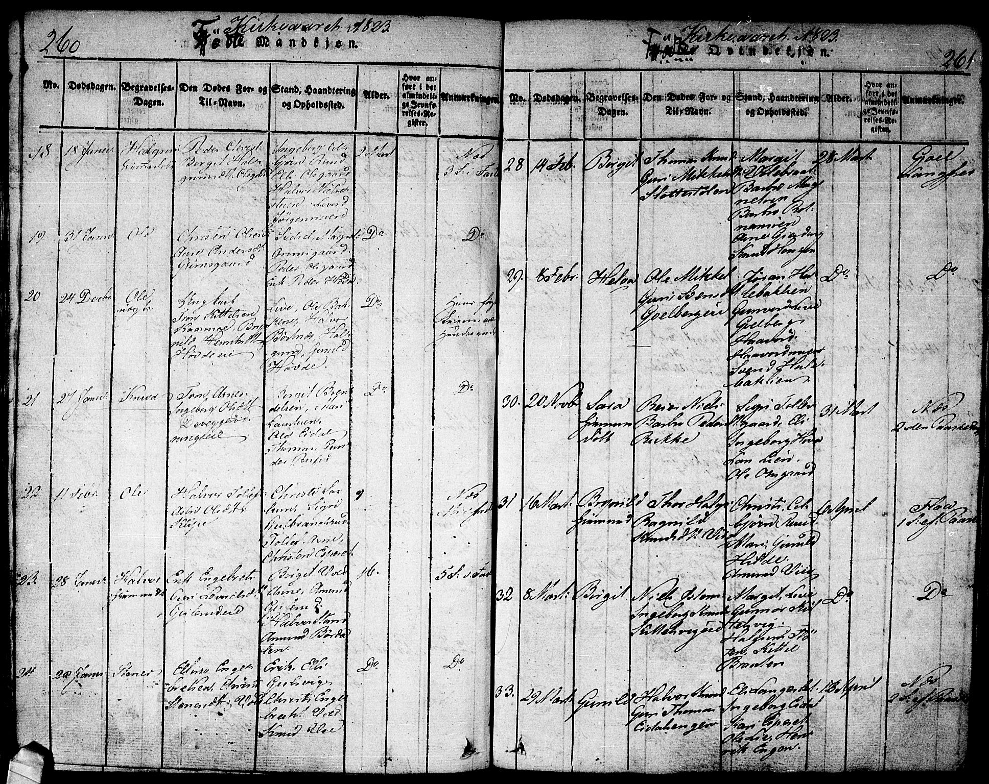 Nes kirkebøker, AV/SAKO-A-236/F/Fa/L0007: Parish register (official) no. 7, 1815-1823, p. 260-261