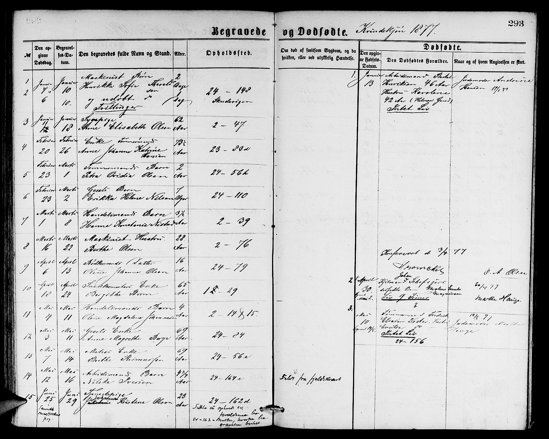 Sandviken Sokneprestembete, SAB/A-77601/H/Hb: Parish register (copy) no. A 1, 1867-1879, p. 293