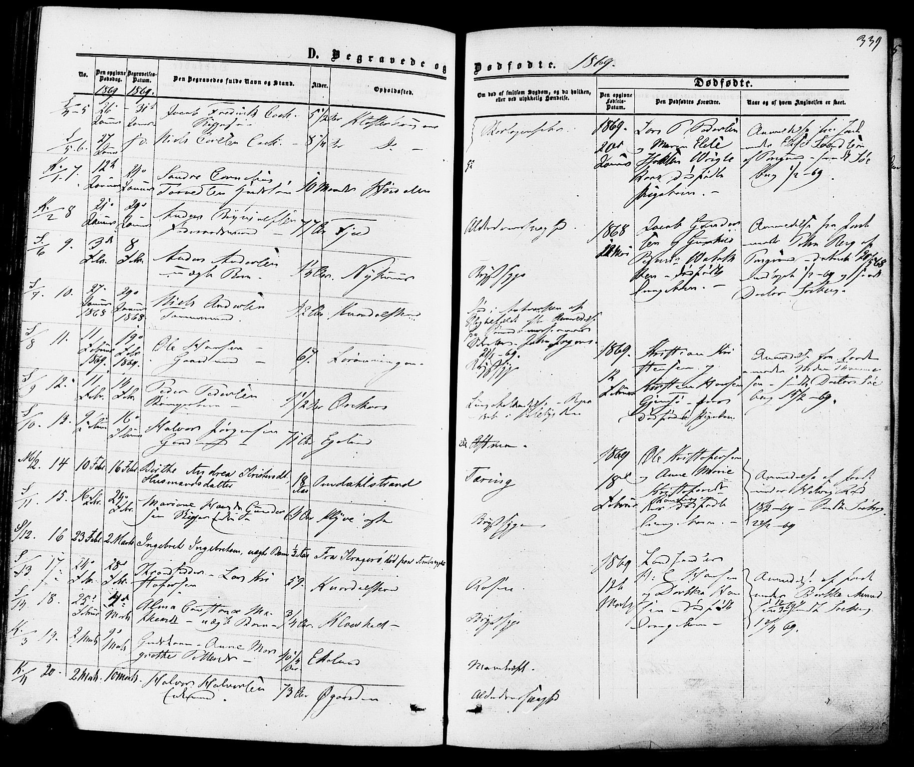 Solum kirkebøker, SAKO/A-306/F/Fa/L0008: Parish register (official) no. I 8, 1865-1876, p. 339