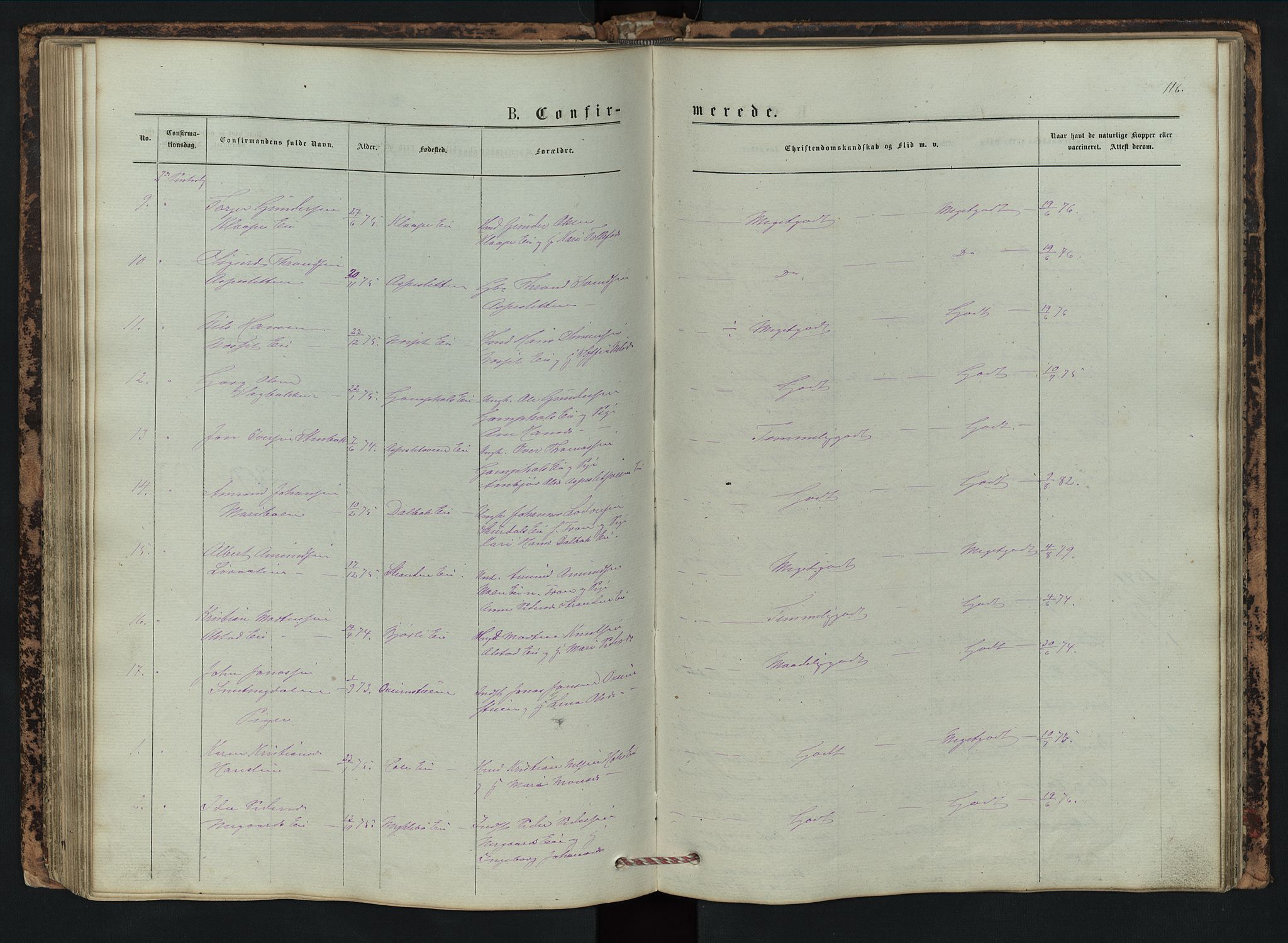 Vestre Gausdal prestekontor, SAH/PREST-094/H/Ha/Hab/L0002: Parish register (copy) no. 2, 1874-1897, p. 116