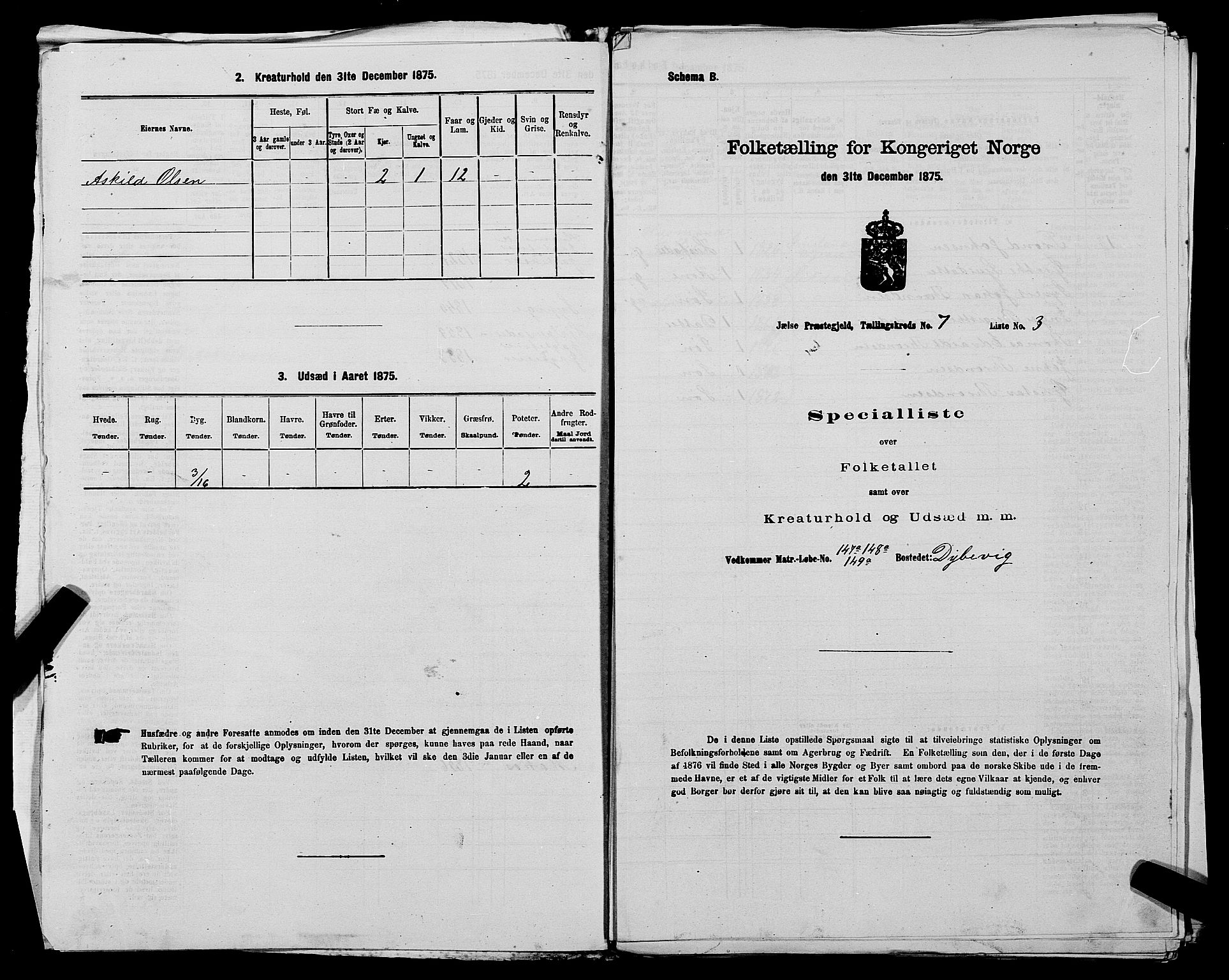 SAST, 1875 census for 1138P Jelsa, 1875, p. 590