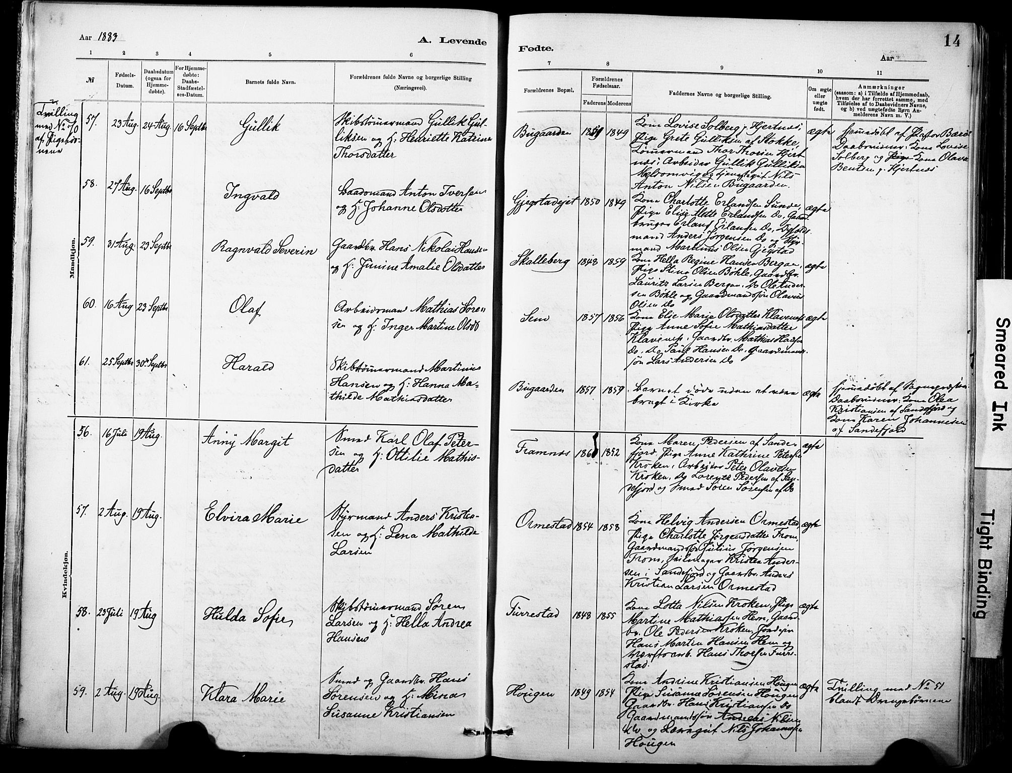 Sandar kirkebøker, SAKO/A-243/F/Fa/L0012: Parish register (official) no. 12, 1883-1895, p. 14