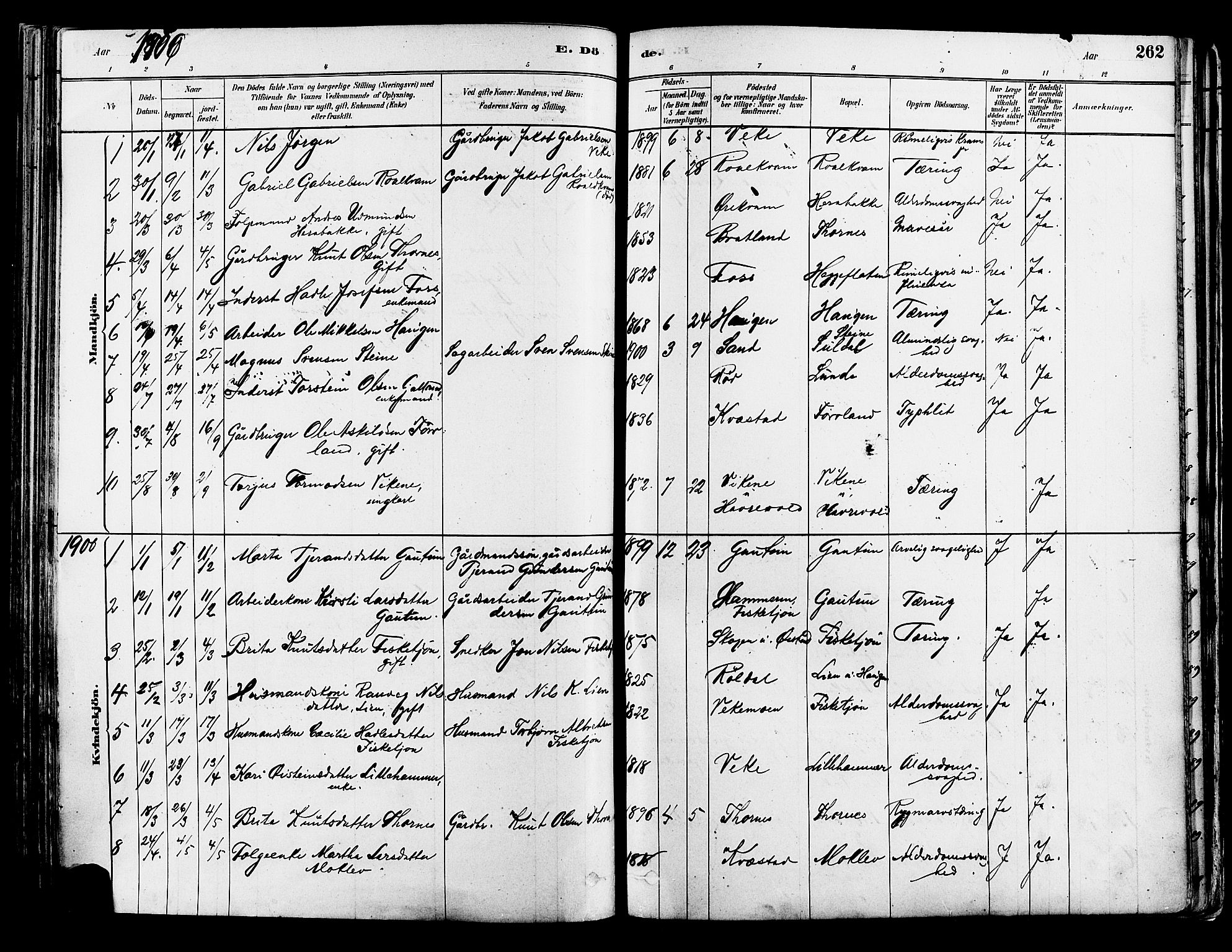 Suldal sokneprestkontor, AV/SAST-A-101845/01/IV/L0011: Parish register (official) no. A 11, 1878-1900, p. 262